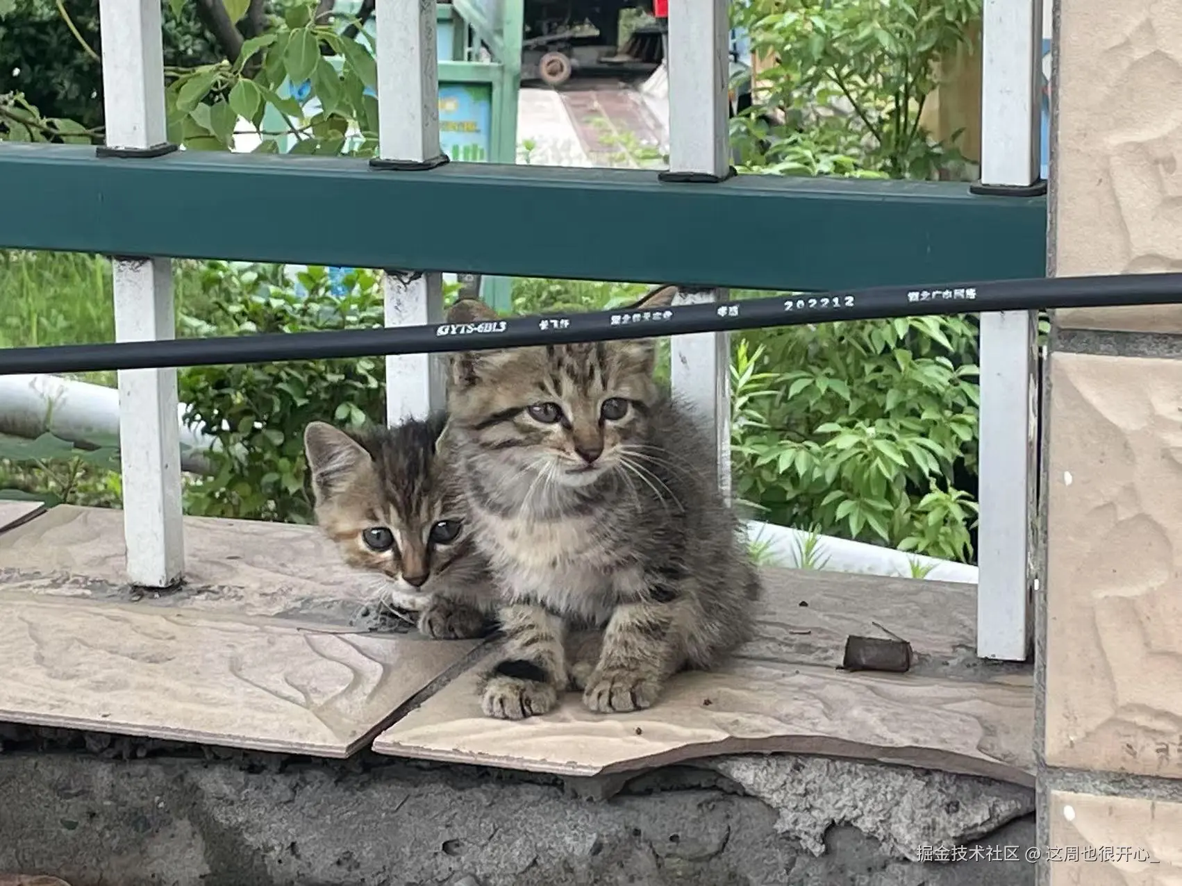 这周也很开心_于2025-06-30 09:49发布的图片