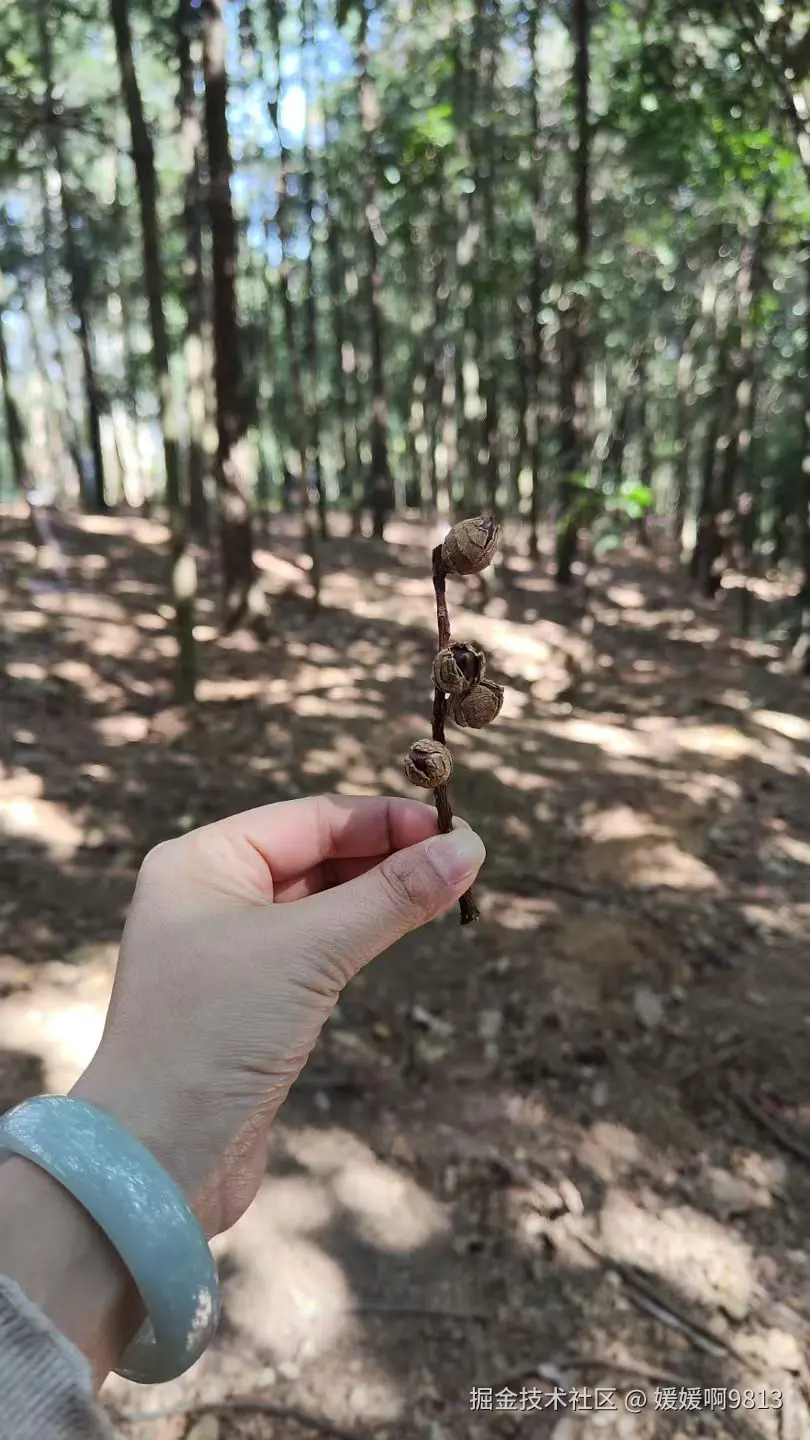 媛媛啊9813于2025-01-12 20:29发布的图片