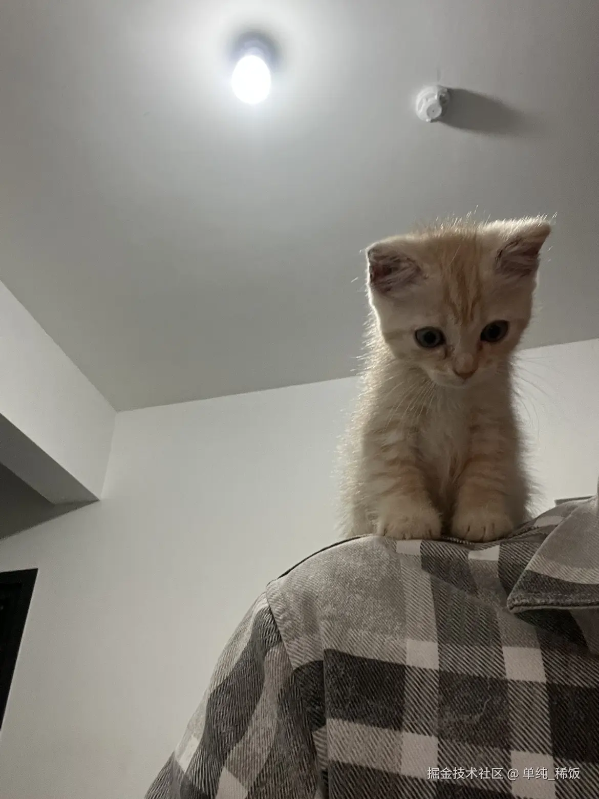 单纯_稀饭于2025-03-06 07:11发布的图片