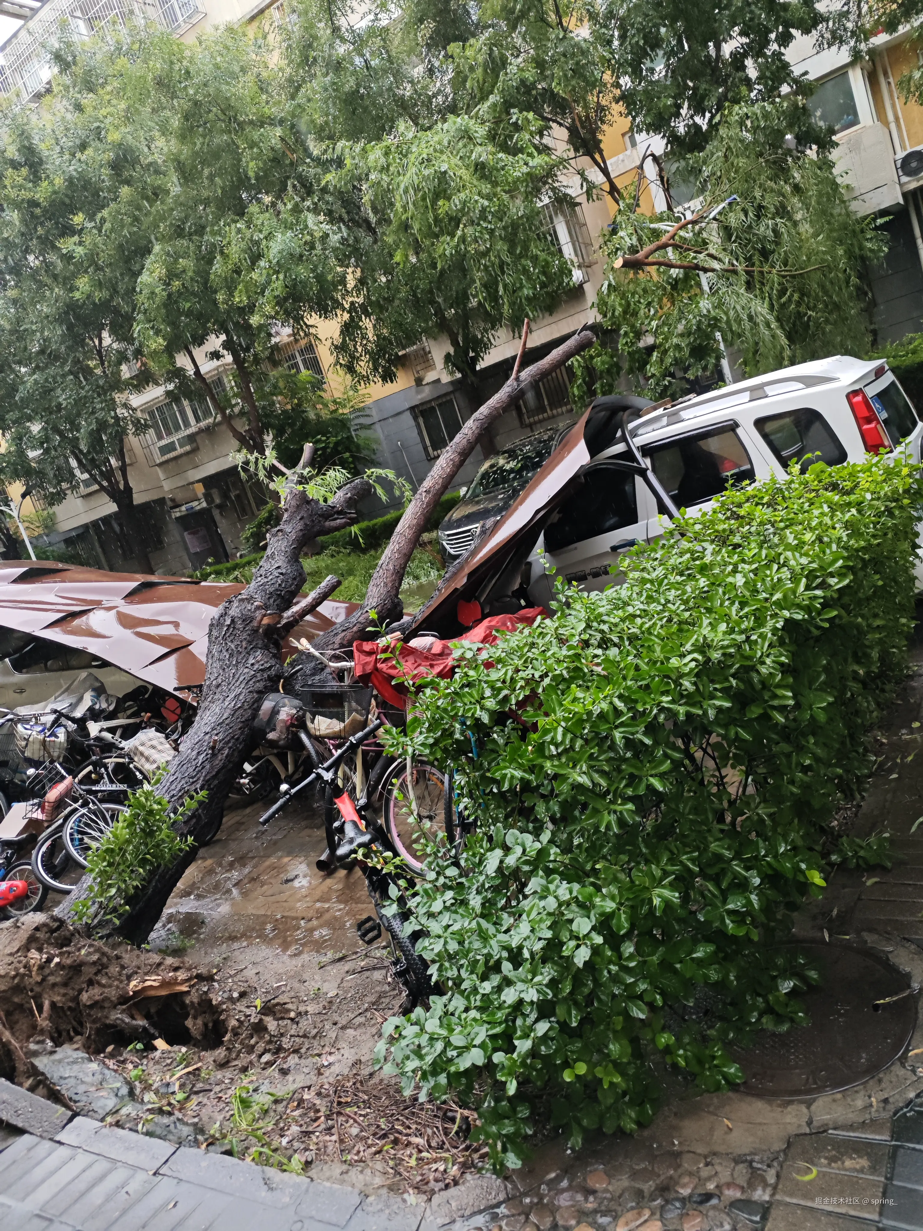 spring_于2025-07-29 01:57发布的图片