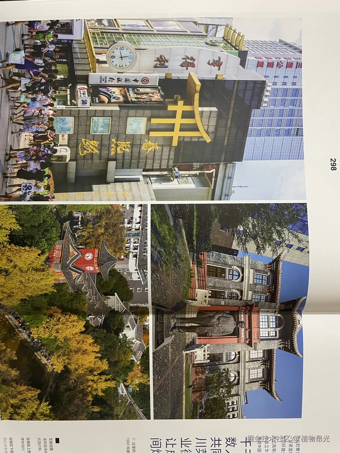 植物昂光于2026-04-05 16:42发布的图片