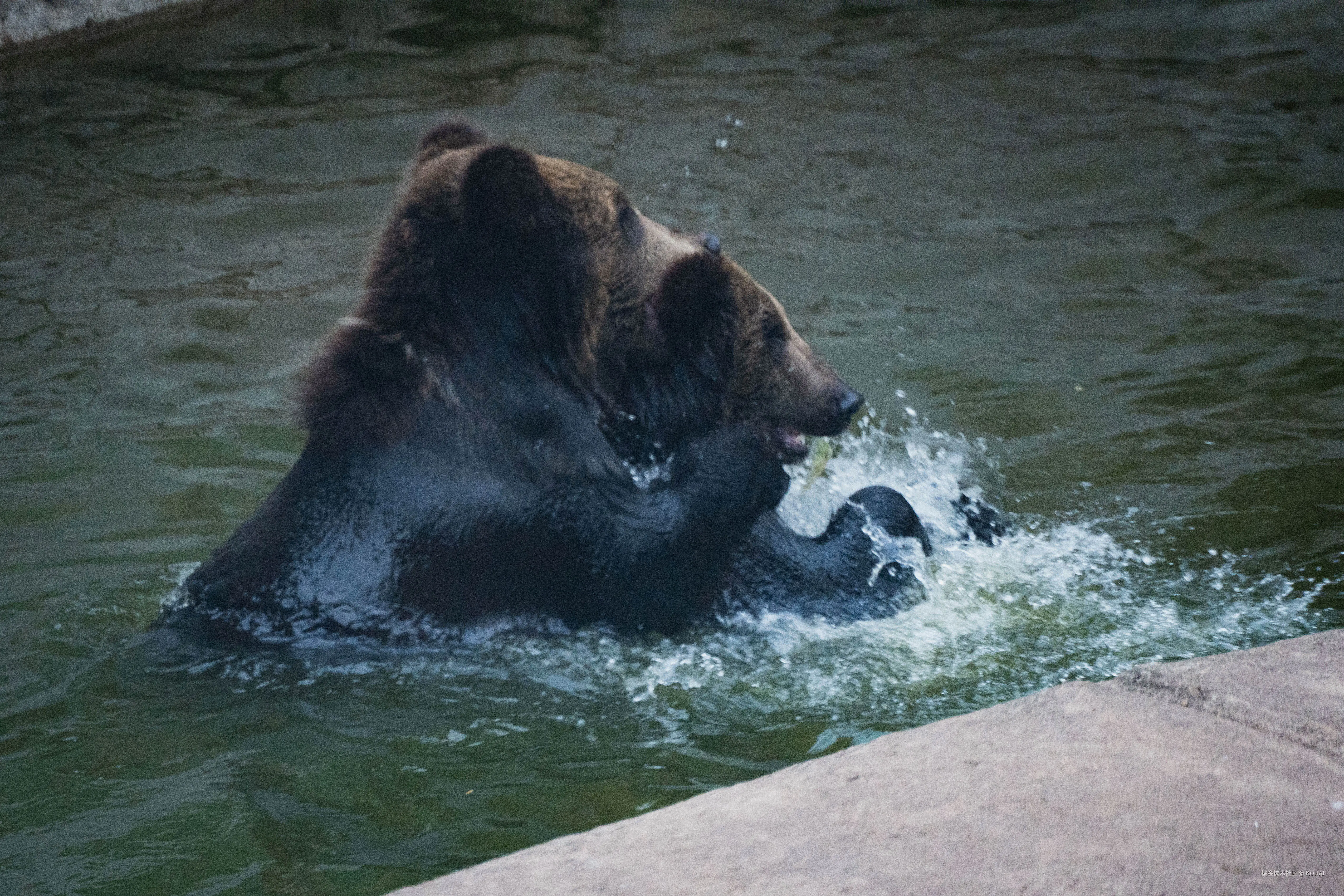 KOHAI于2024-11-04 23:36发布的图片