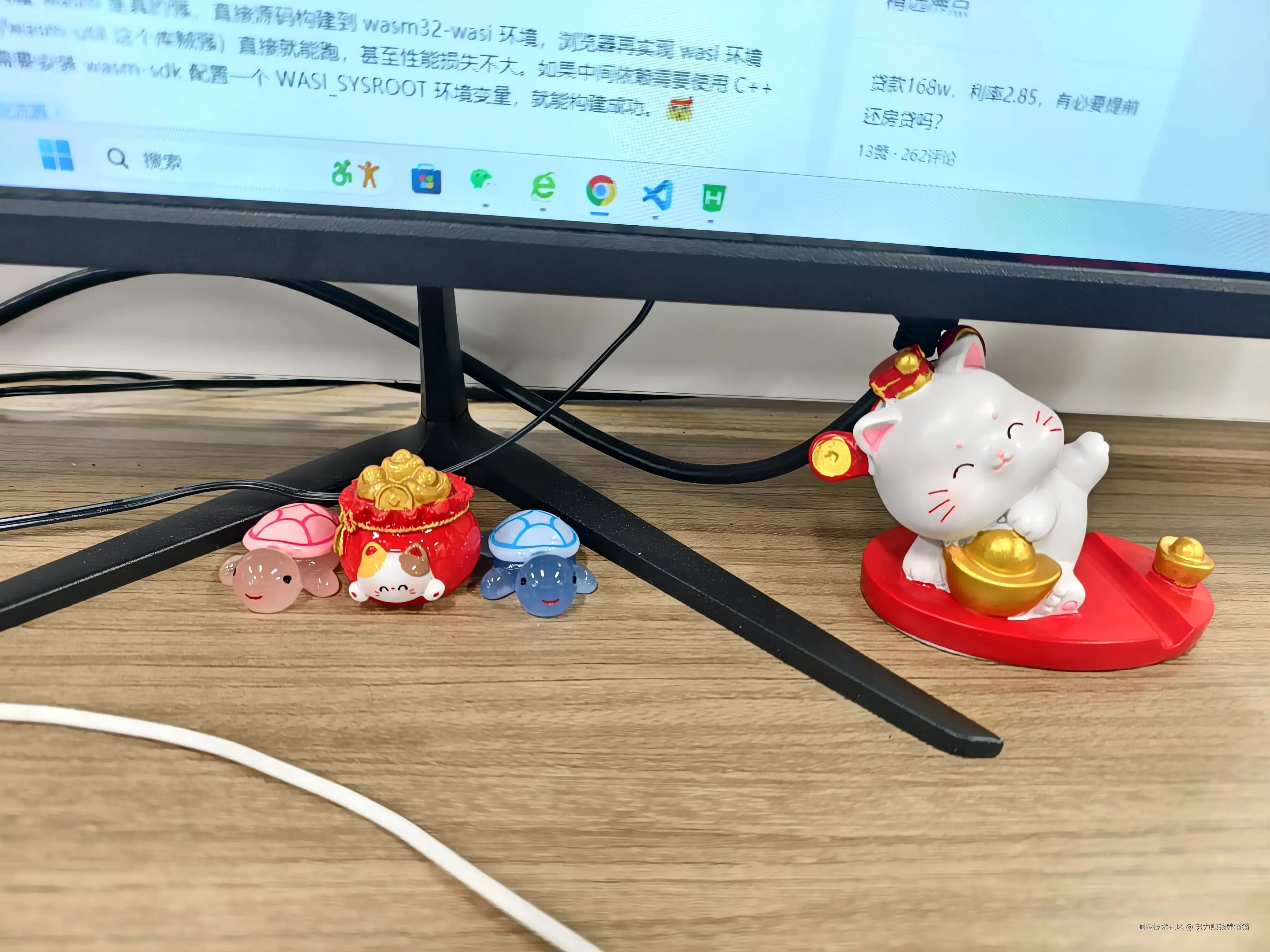 努力赚钱养猫猫于2024-12-03 09:50发布的图片