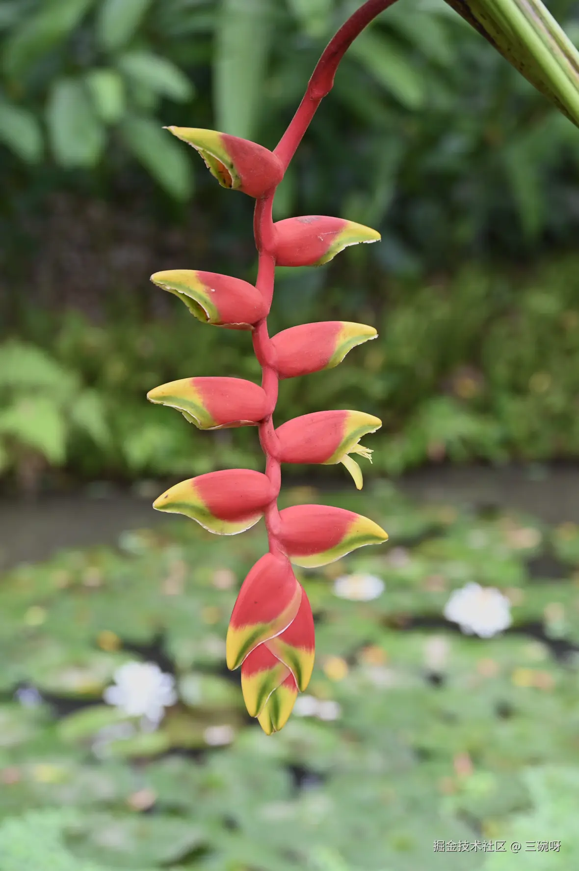 三碗呀于2024-12-16 10:36发布的图片