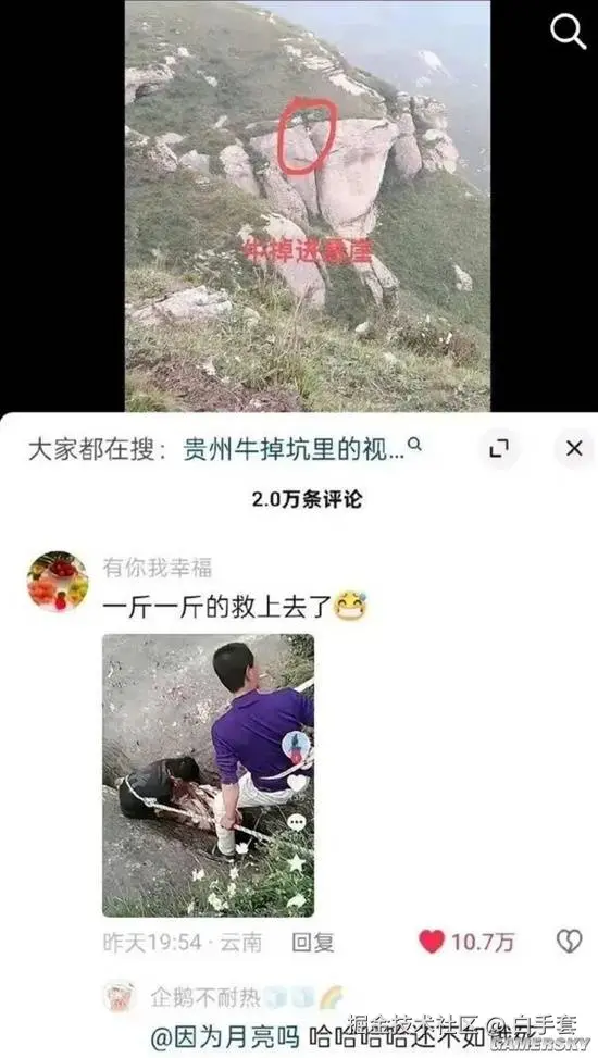 白手套于2025-09-19 10:24发布的图片