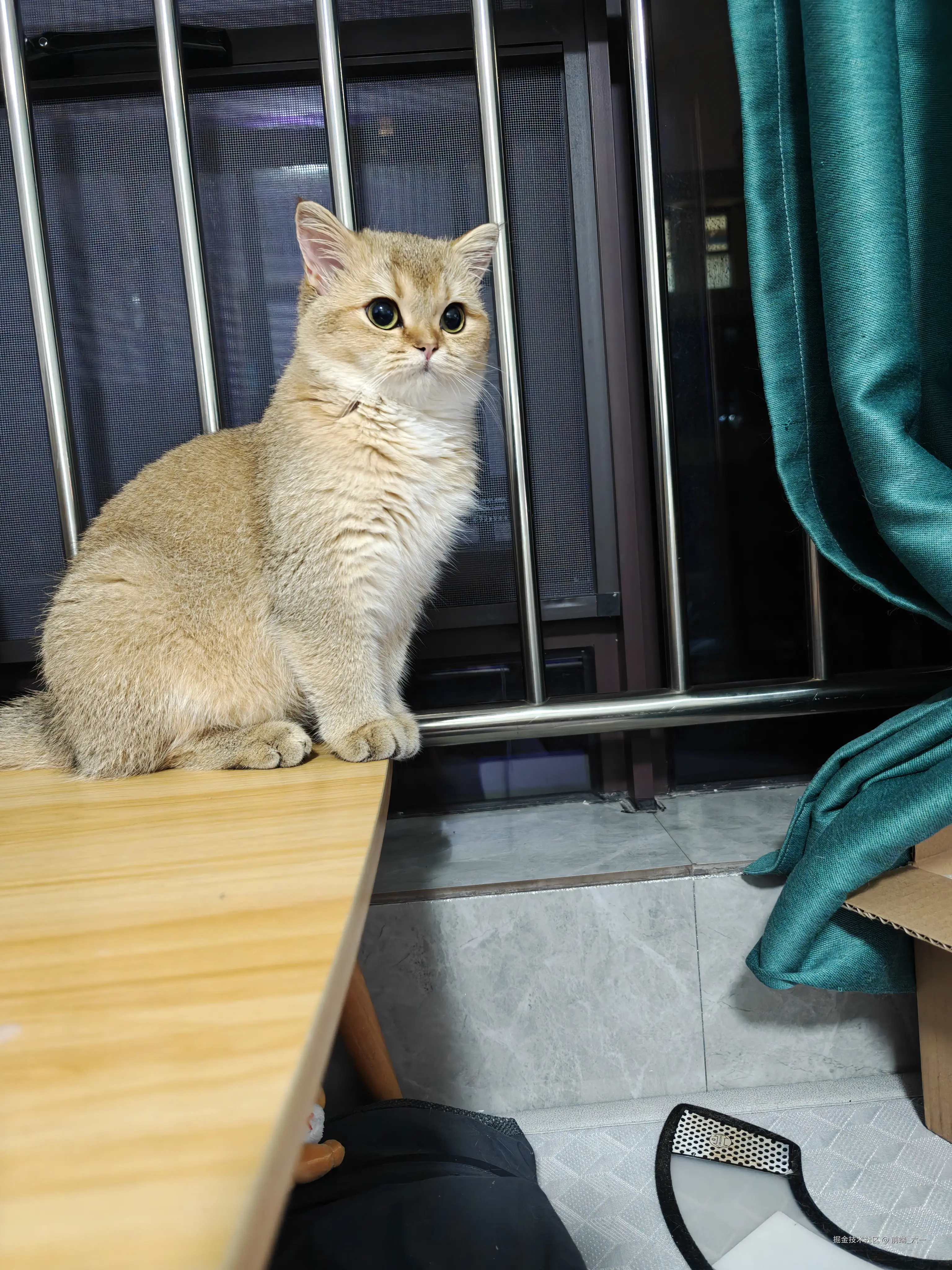 前端_六一于2024-11-19 07:41发布的图片