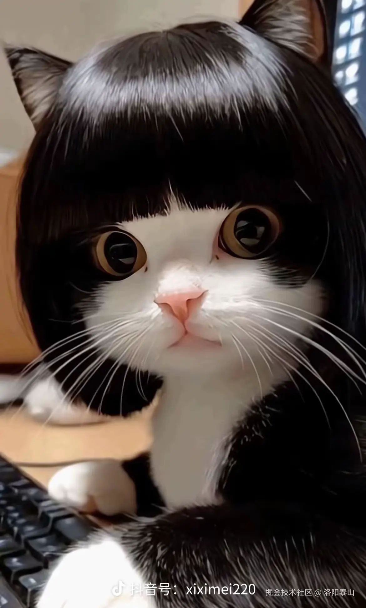 洛阳泰山于2025-12-21 14:14发布的图片