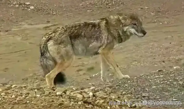 Reloading_转行保险了于2024-10-27 11:16发布的图片