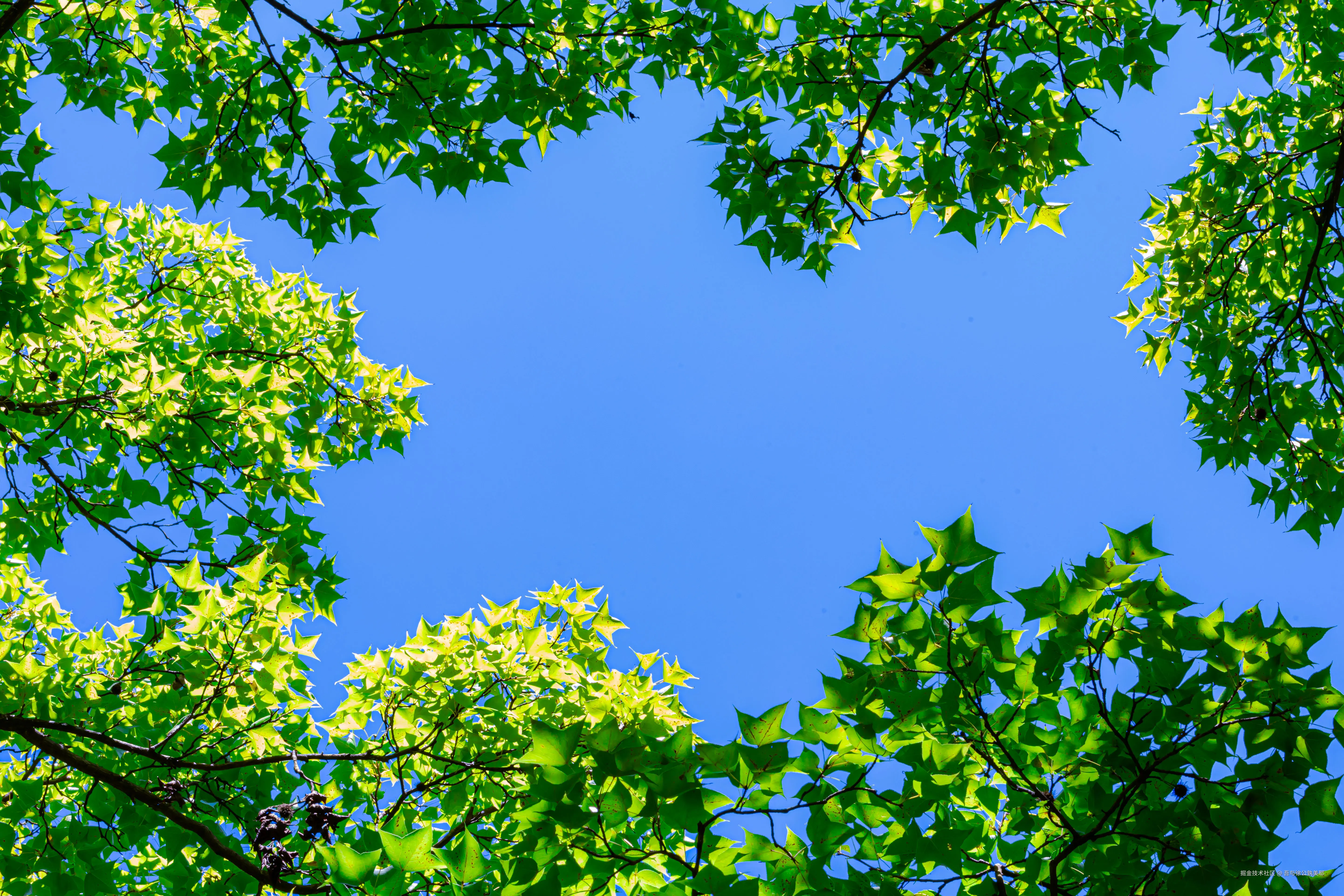 吾与徐公孰美耶于2024-08-09 10:00发布的图片