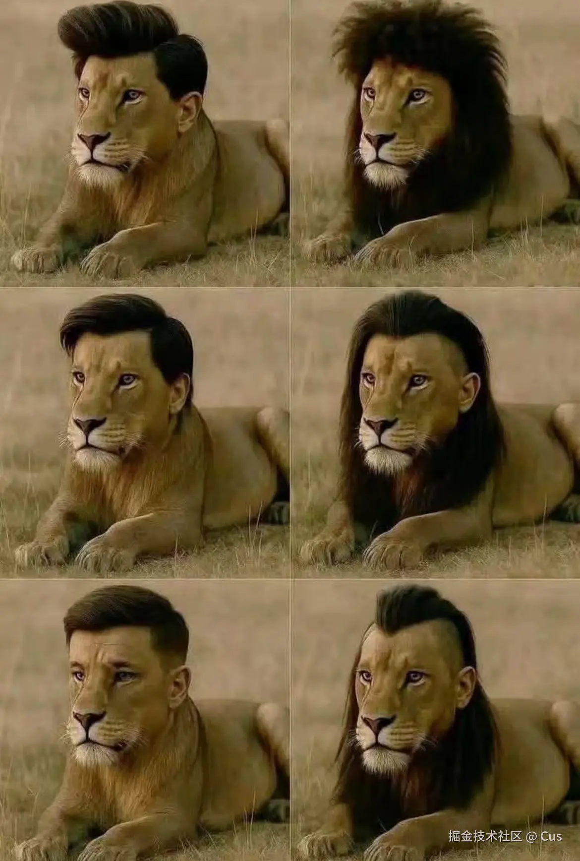 Cus于2025-04-28 16:59发布的图片