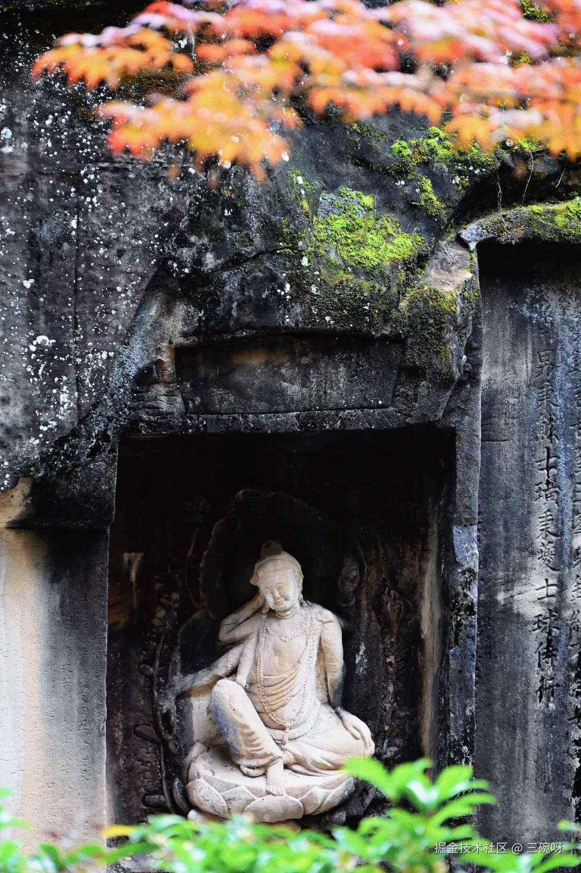 三碗呀于2025-11-24 10:42发布的图片