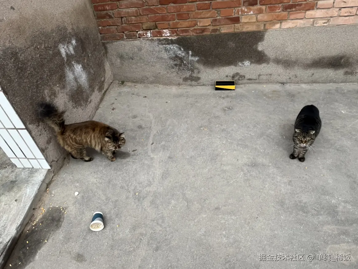 单纯_稀饭于2025-11-05 08:44发布的图片