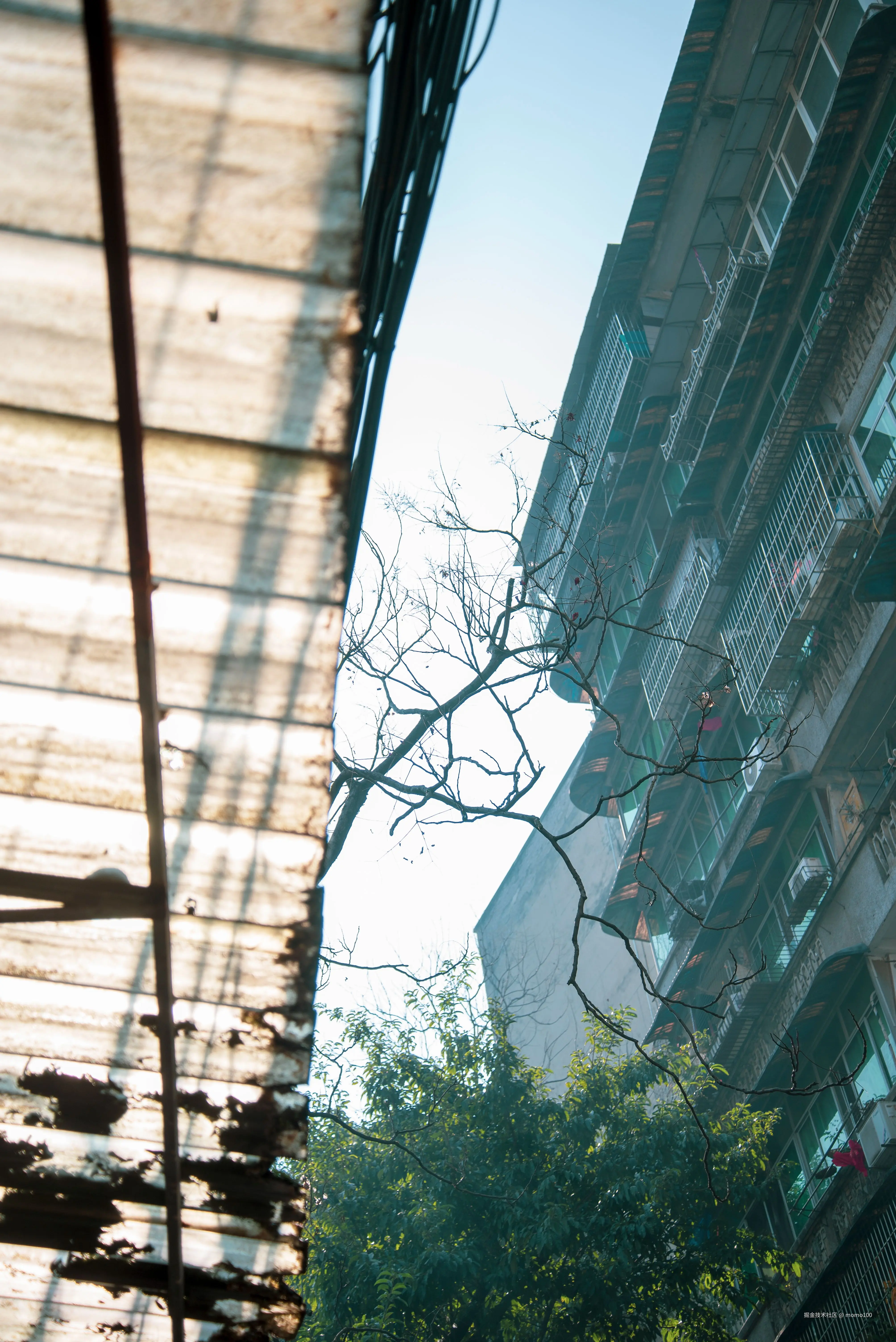 momo100于2025-01-13 10:27发布的图片