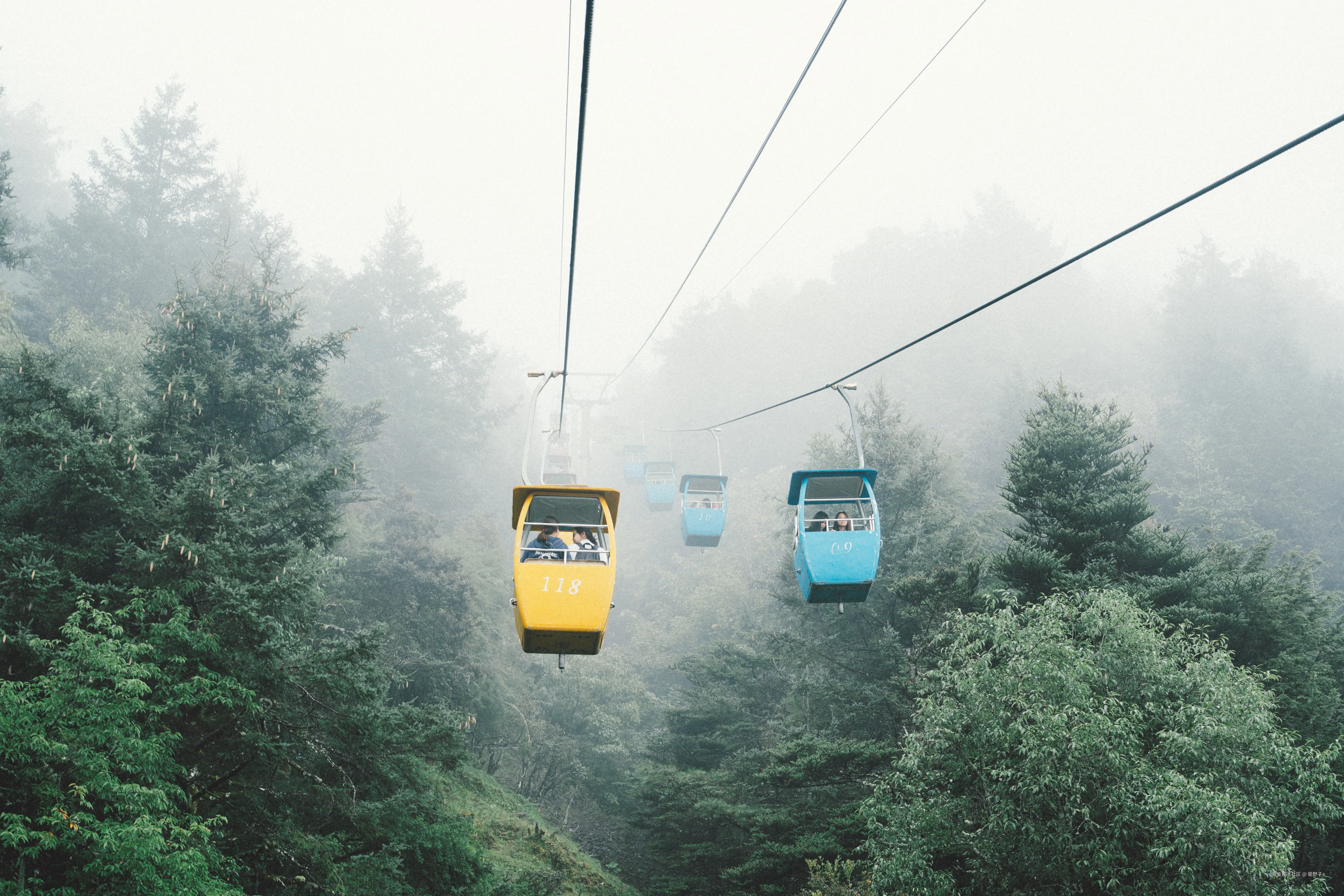 是野子a于2024-12-04 20:13发布的图片