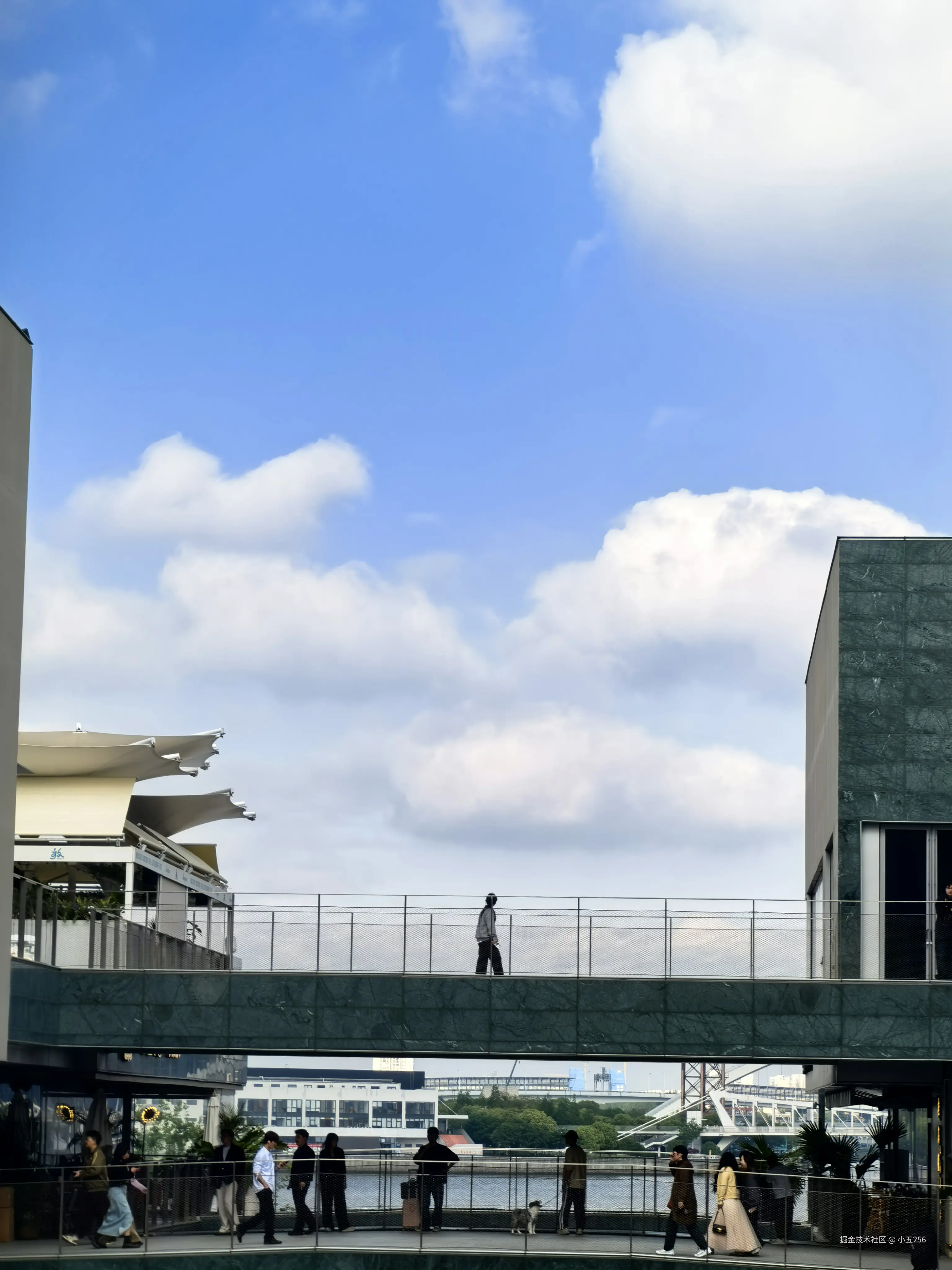 小五256于2026-04-20 09:33发布的图片