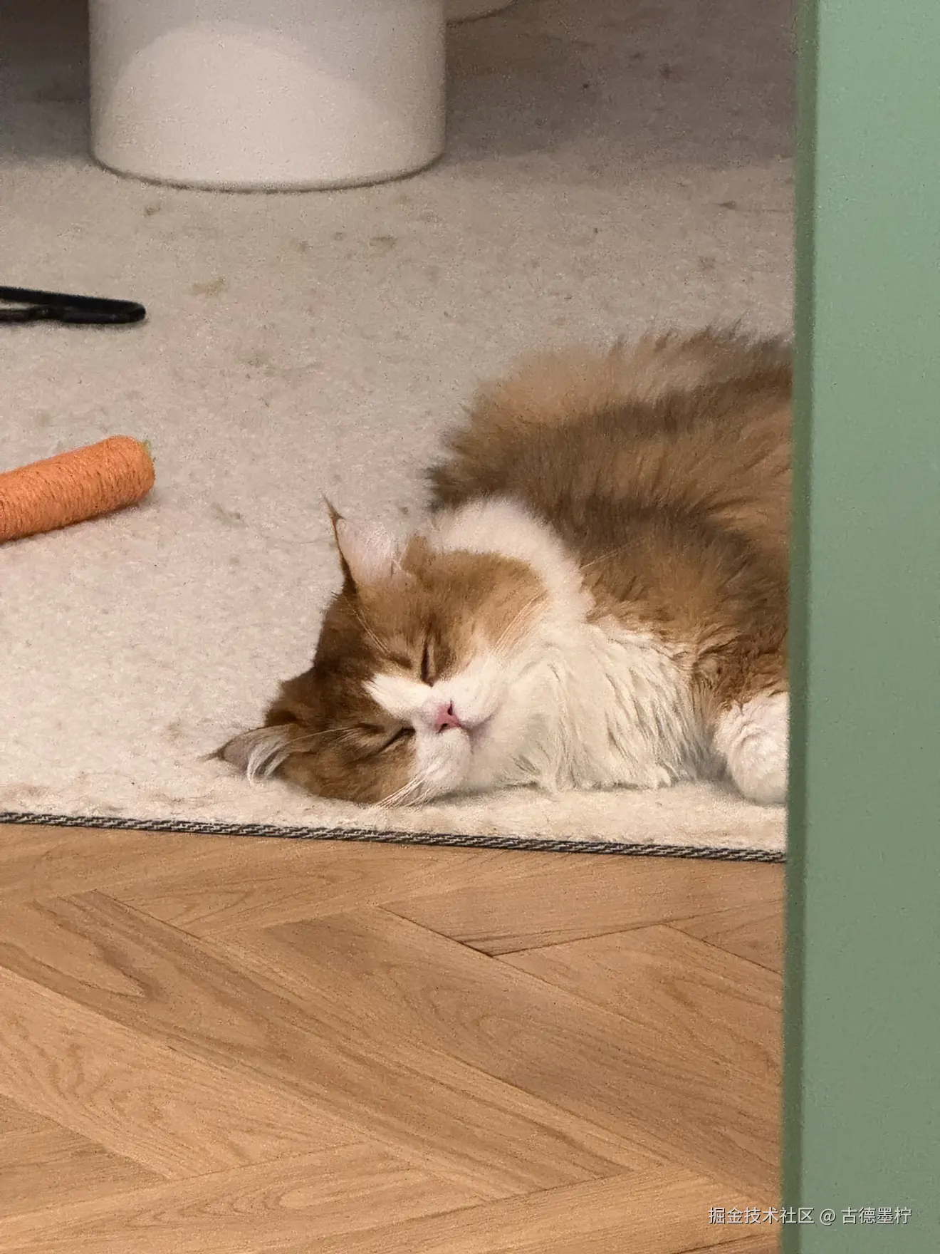 古德墨柠于2025-07-15 08:54发布的图片