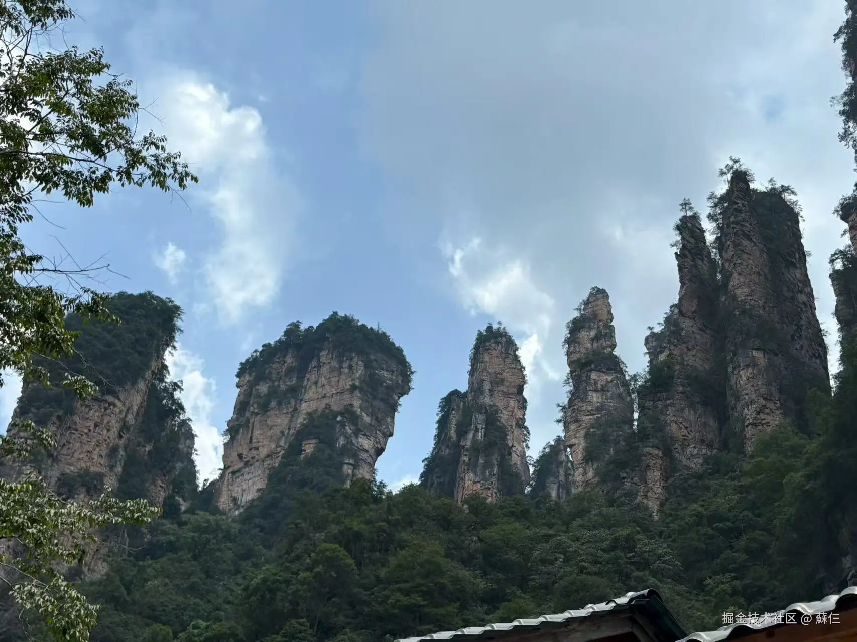 蘇仨于2025-08-18 09:39发布的图片