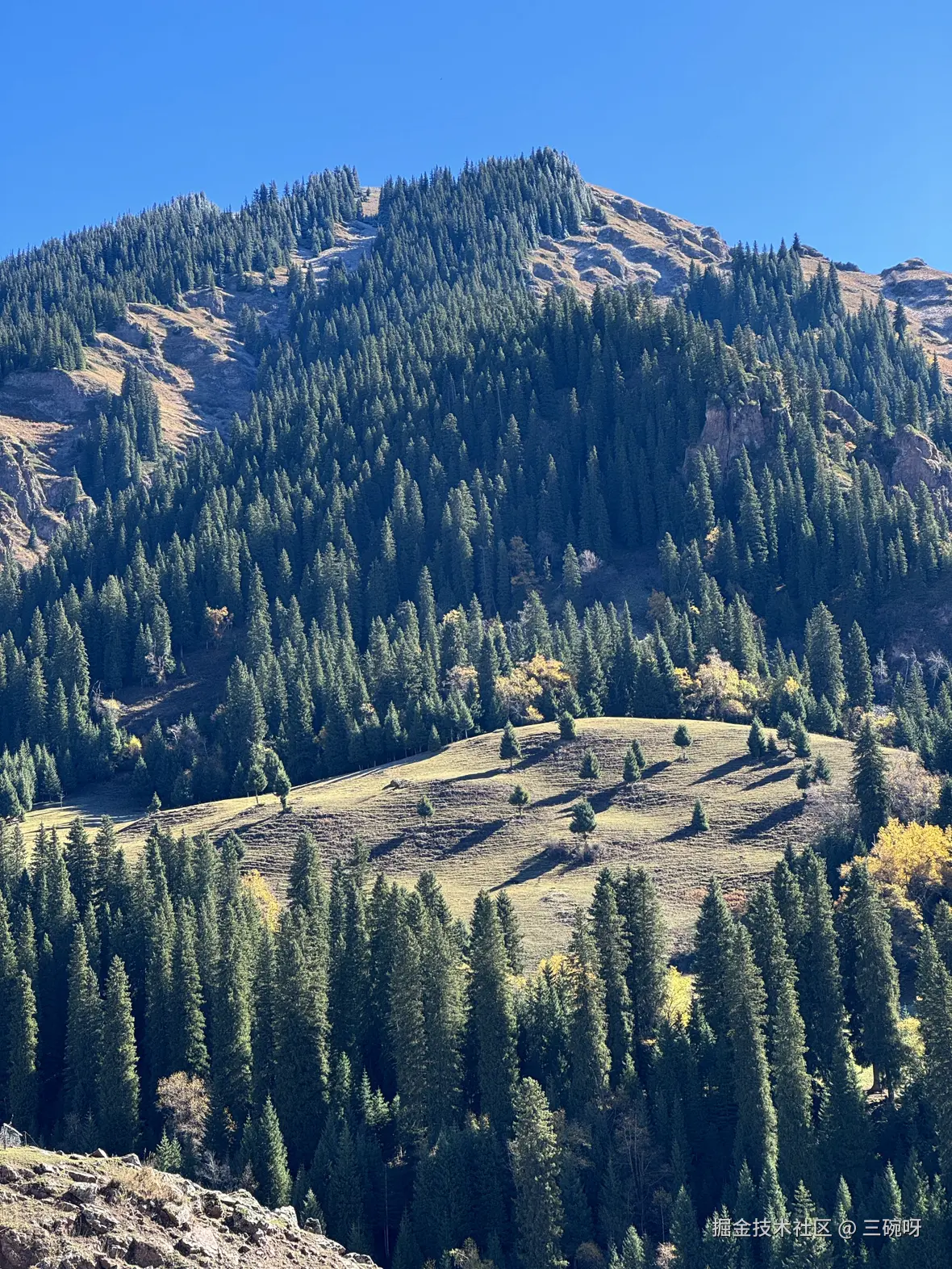 三碗呀于2025-10-27 10:45发布的图片