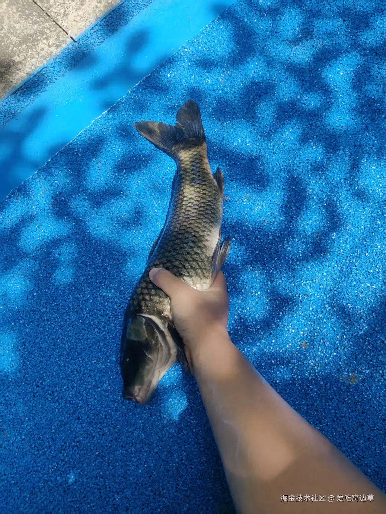 爱吃窝边草于2025-05-13 16:30发布的图片