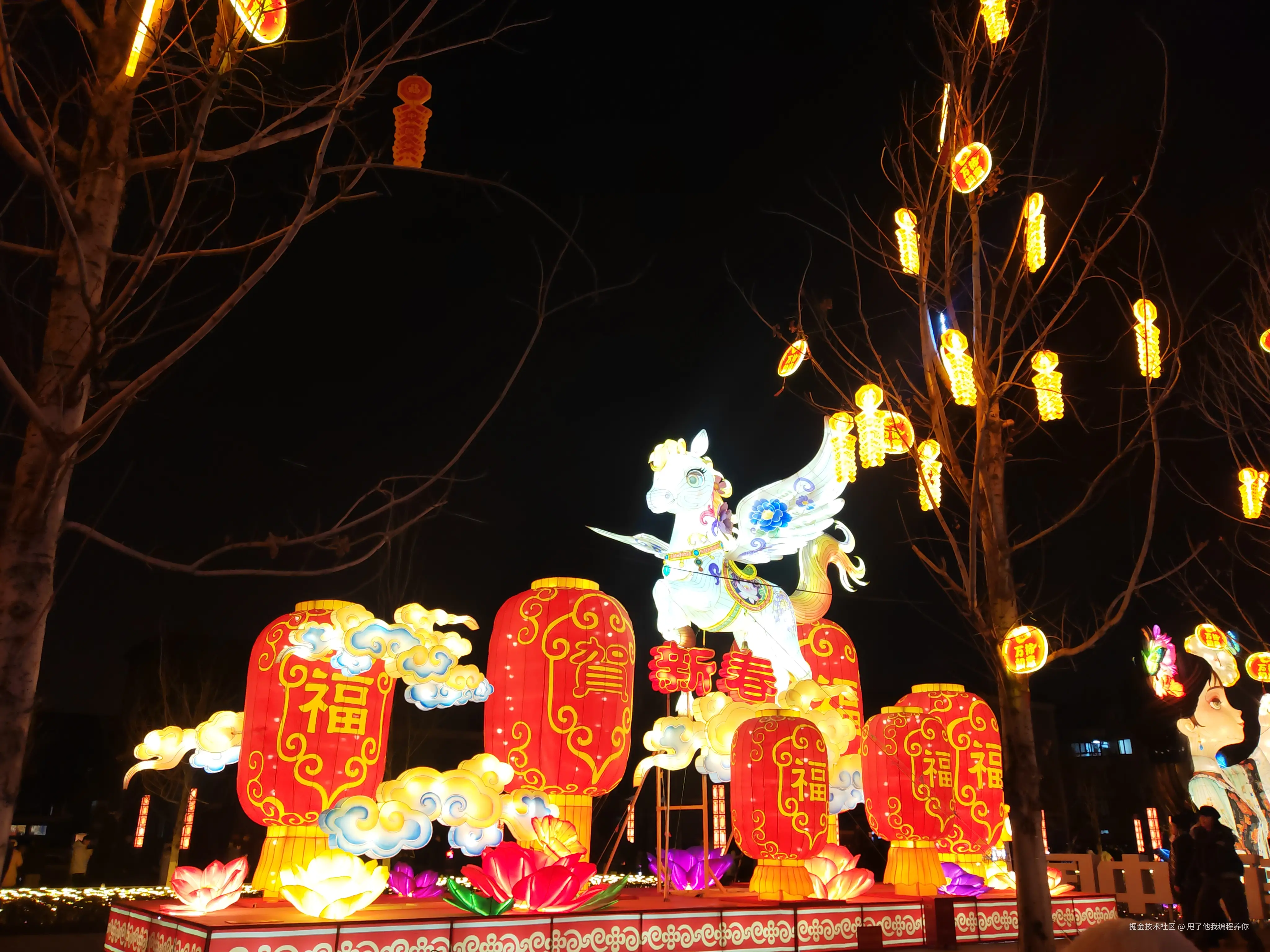 甩了他我编程养你于2026-02-21 11:07发布的图片