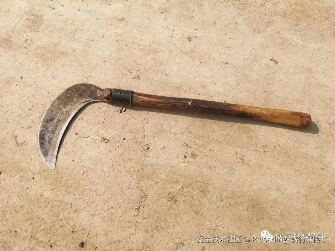 Reloading_转行保险了于2024-10-15 15:51发布的图片