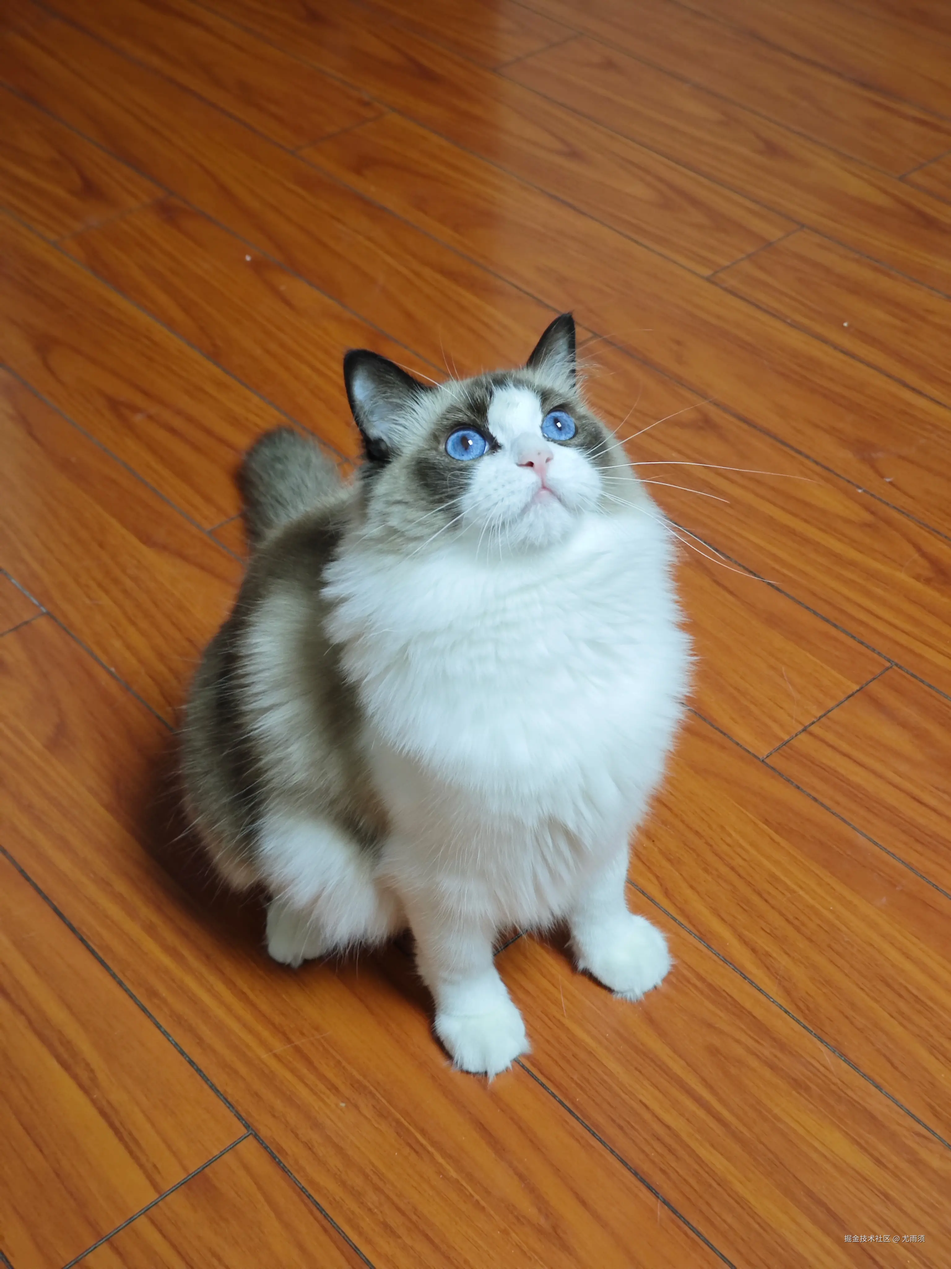 尤雨须于2025-07-31 17:59发布的图片