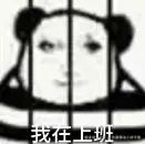 你算哪块小饼干啊于2026-02-13 14:16发布的图片