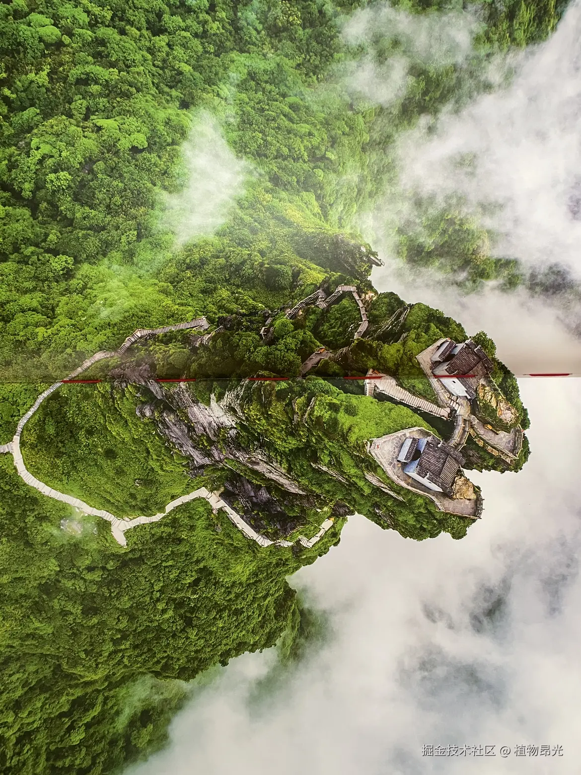 植物昂光于2026-04-06 16:14发布的图片