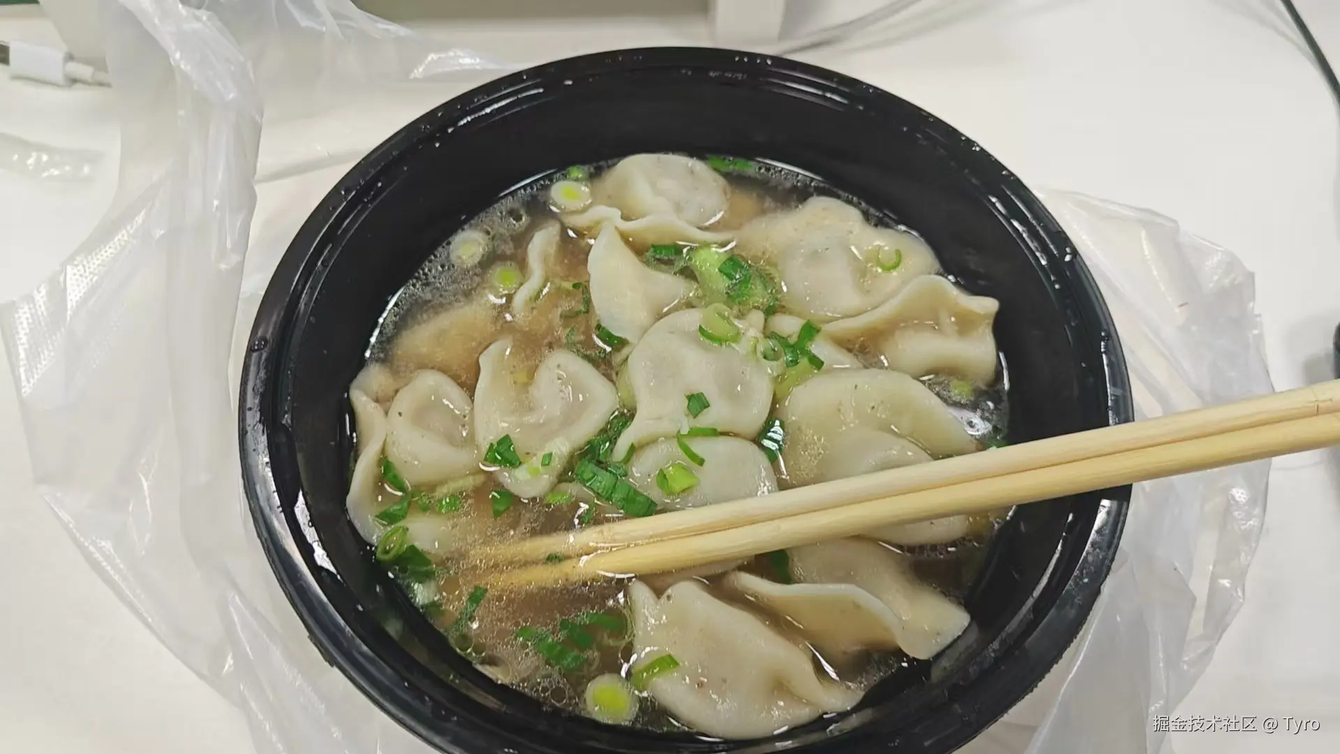 Tyro于2024-12-21 04:39发布的图片