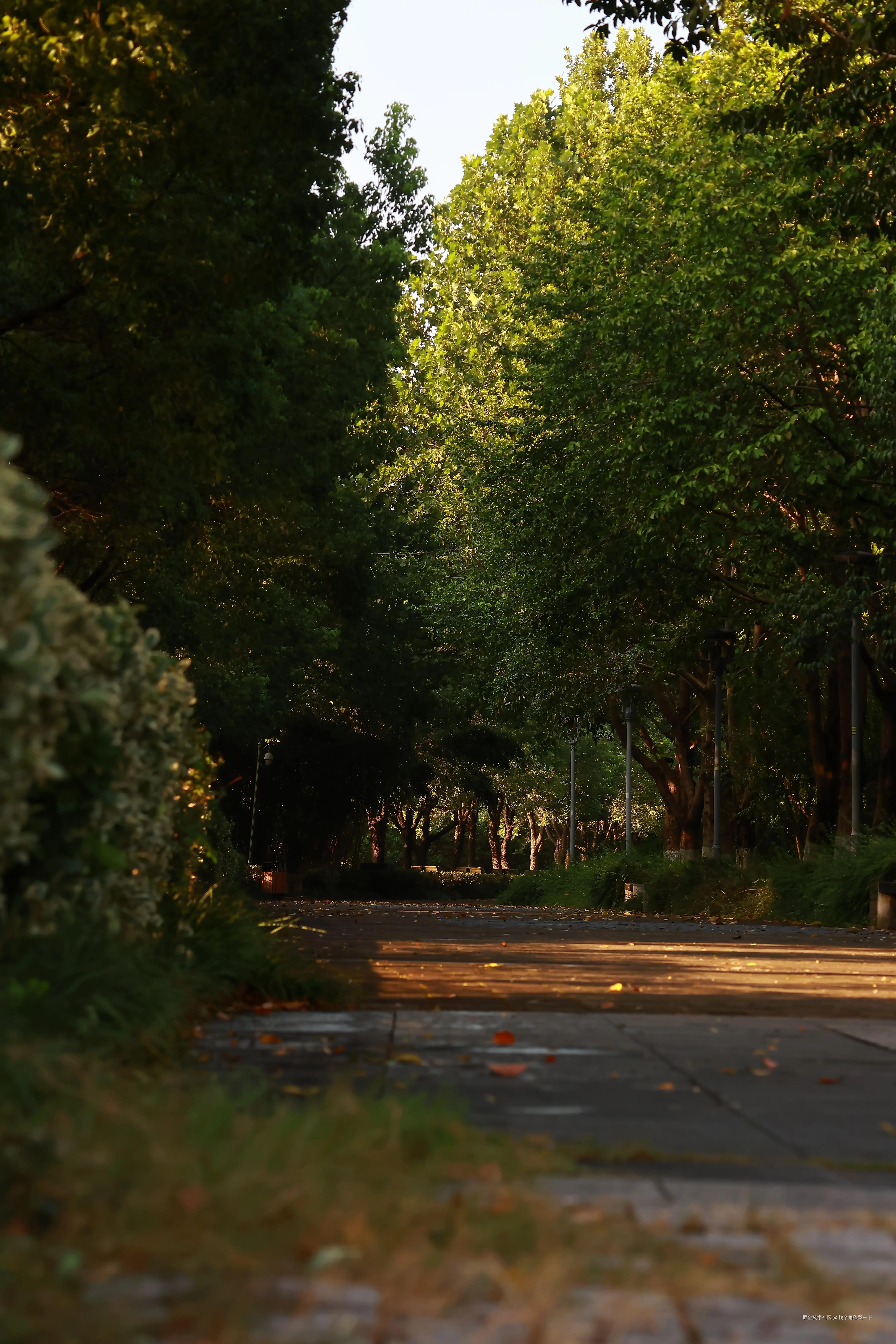 找个角落哭一下于2025-07-28 13:49发布的图片