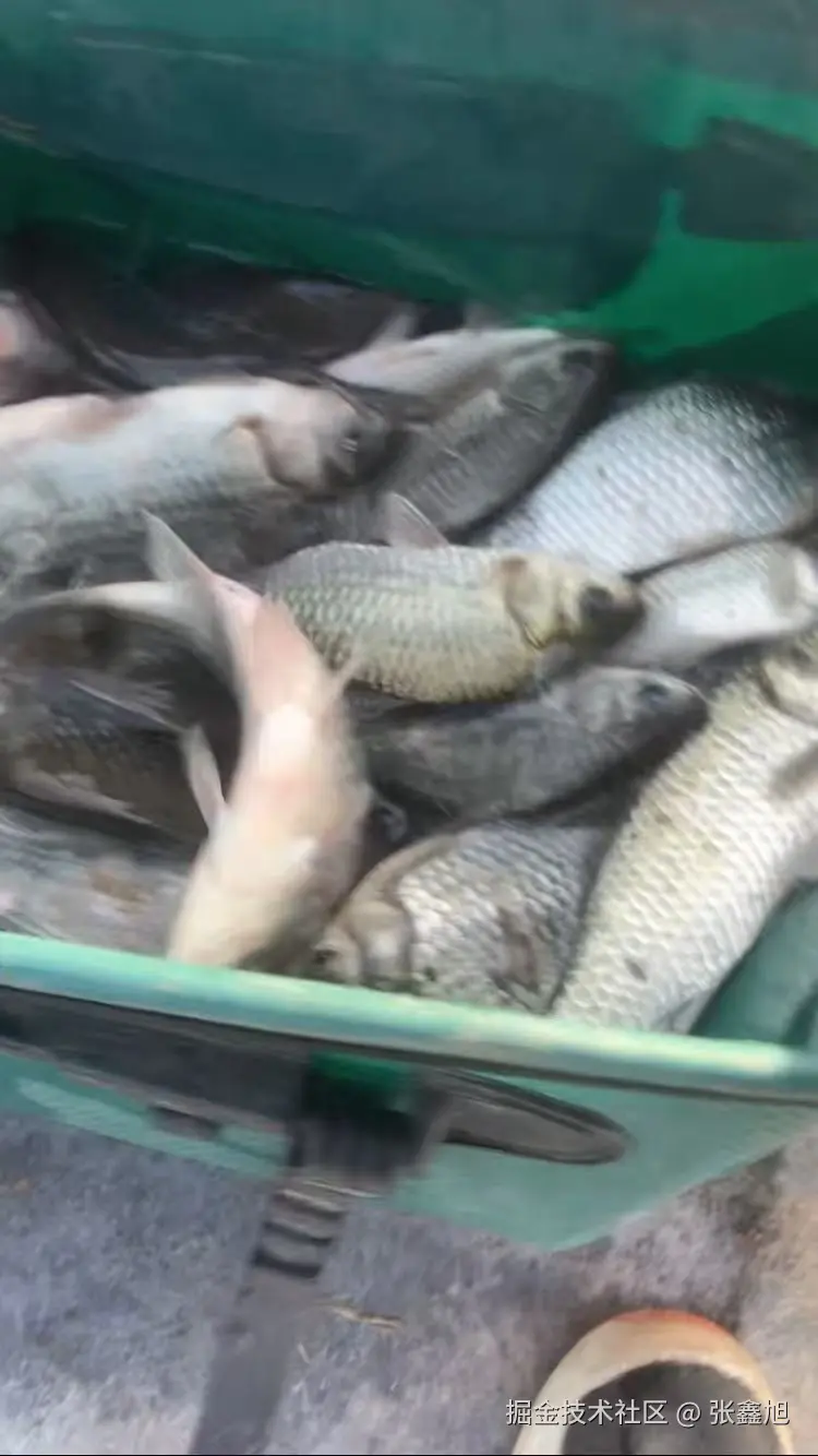 张鑫旭于2024-12-16 16:46发布的图片