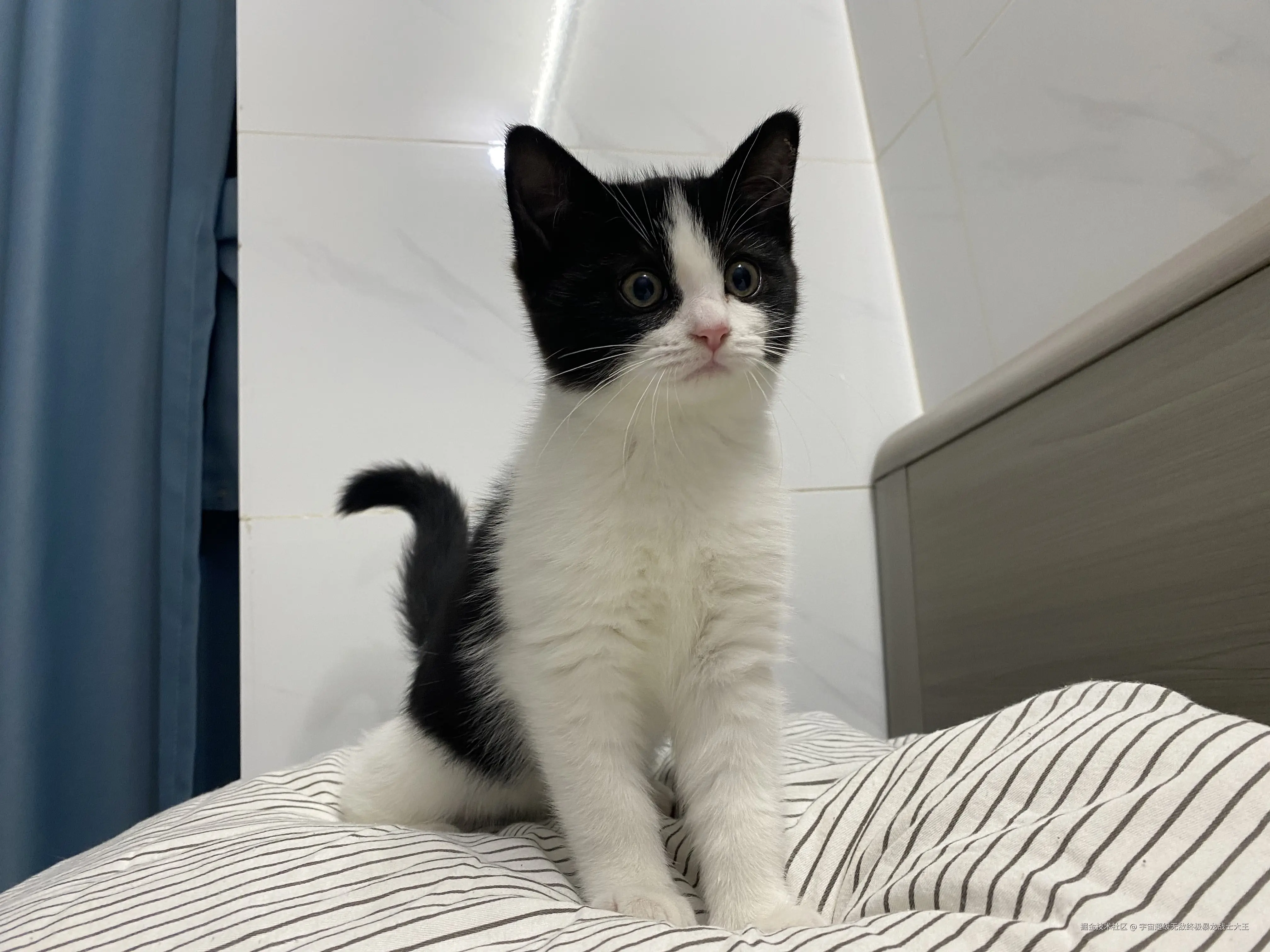 宇宙超级无敌终极暴龙战士大王于2025-02-10 16:39发布的图片