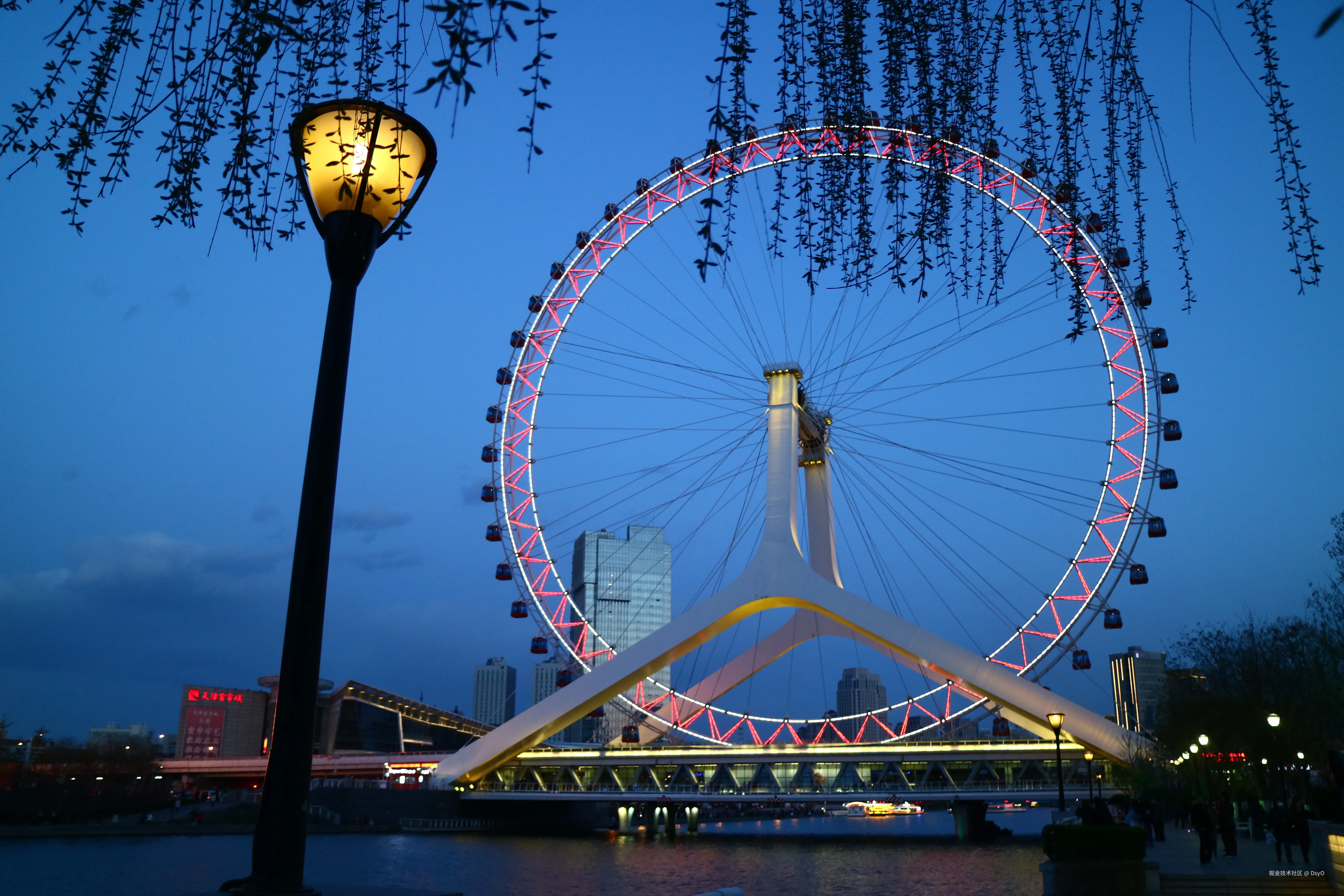 DsyO于2026-02-03 17:25发布的图片