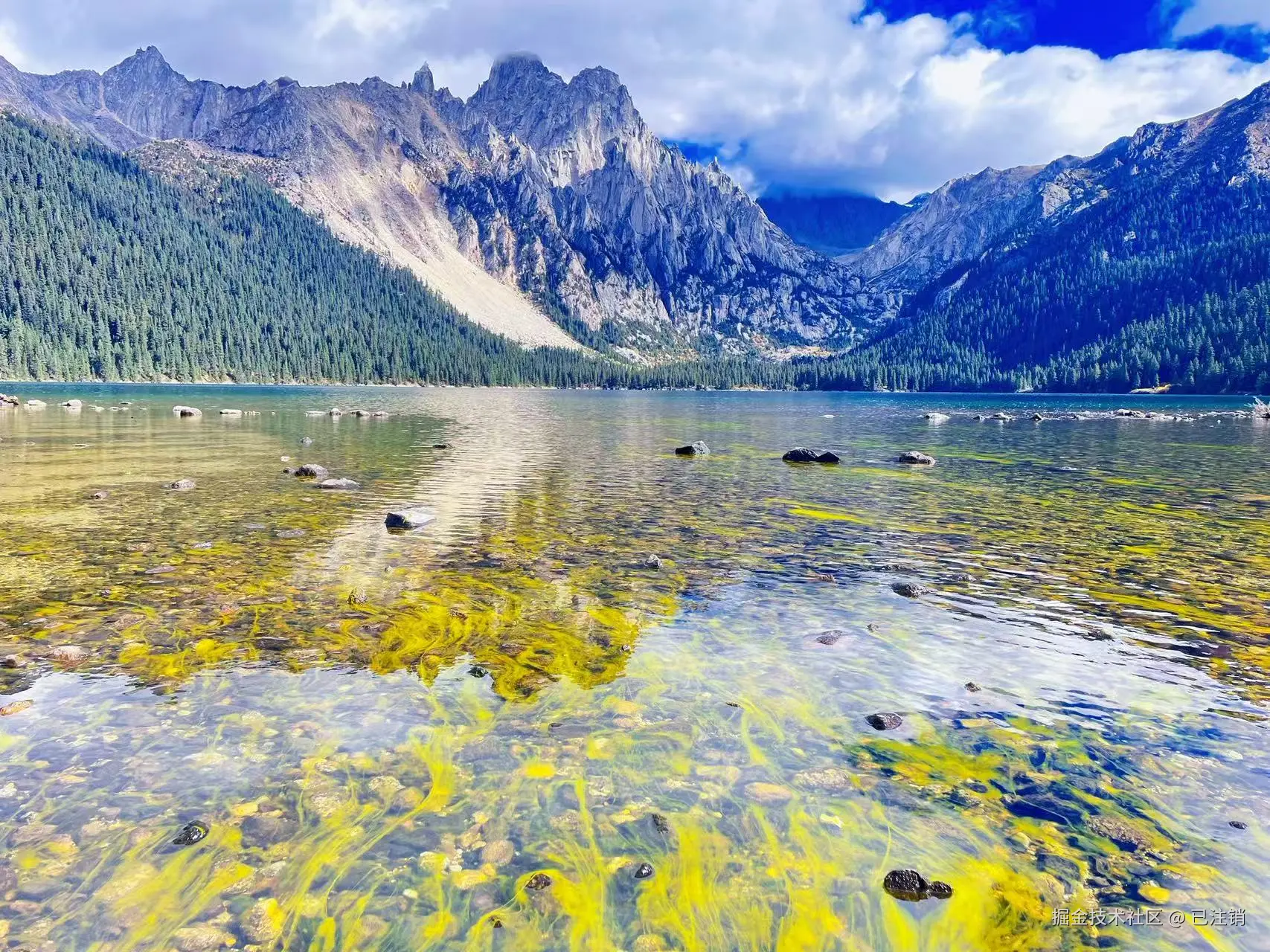 已注销于2025-05-26 16:12发布的图片