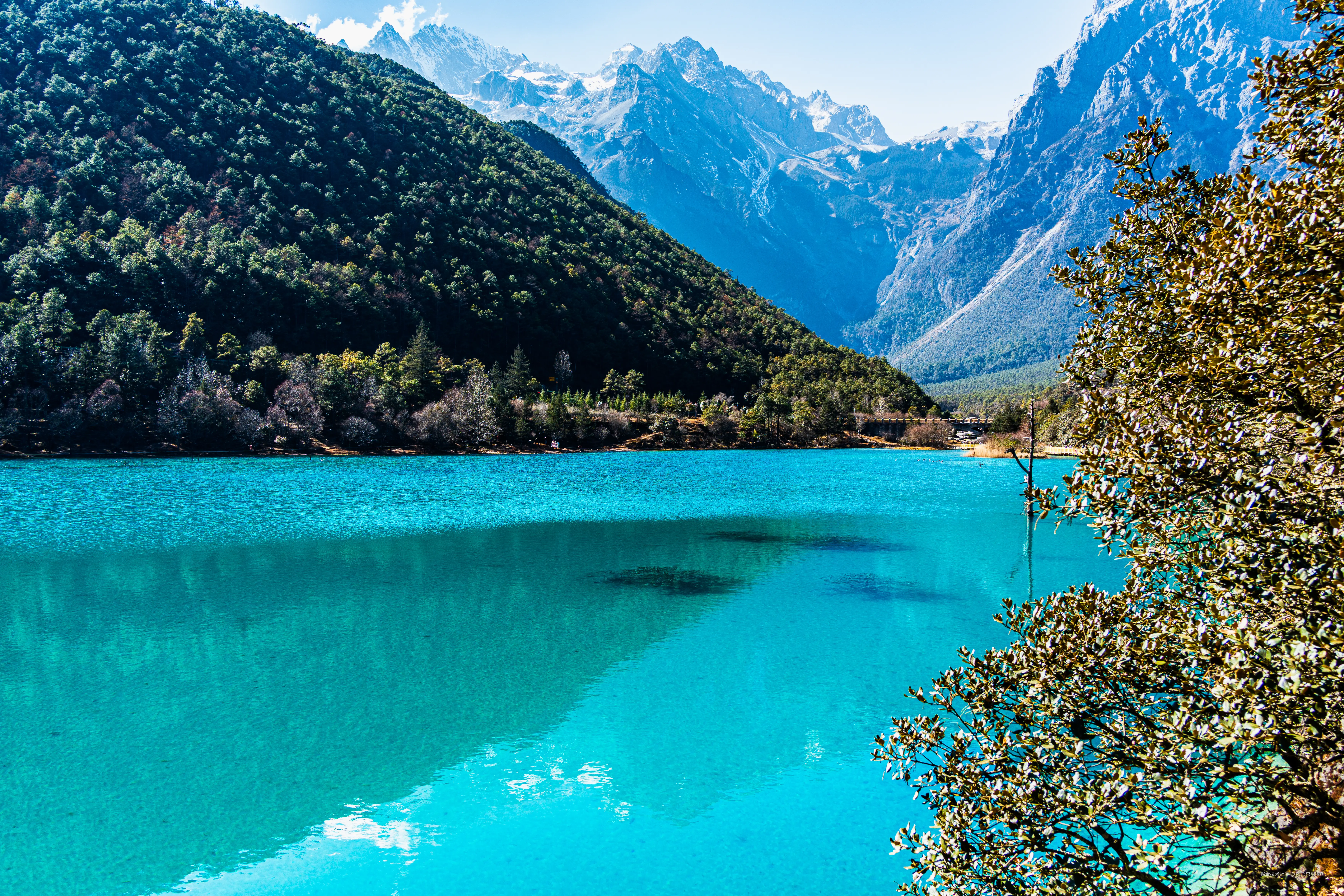 阿飞只想摸鱼于2026-02-11 14:55发布的图片