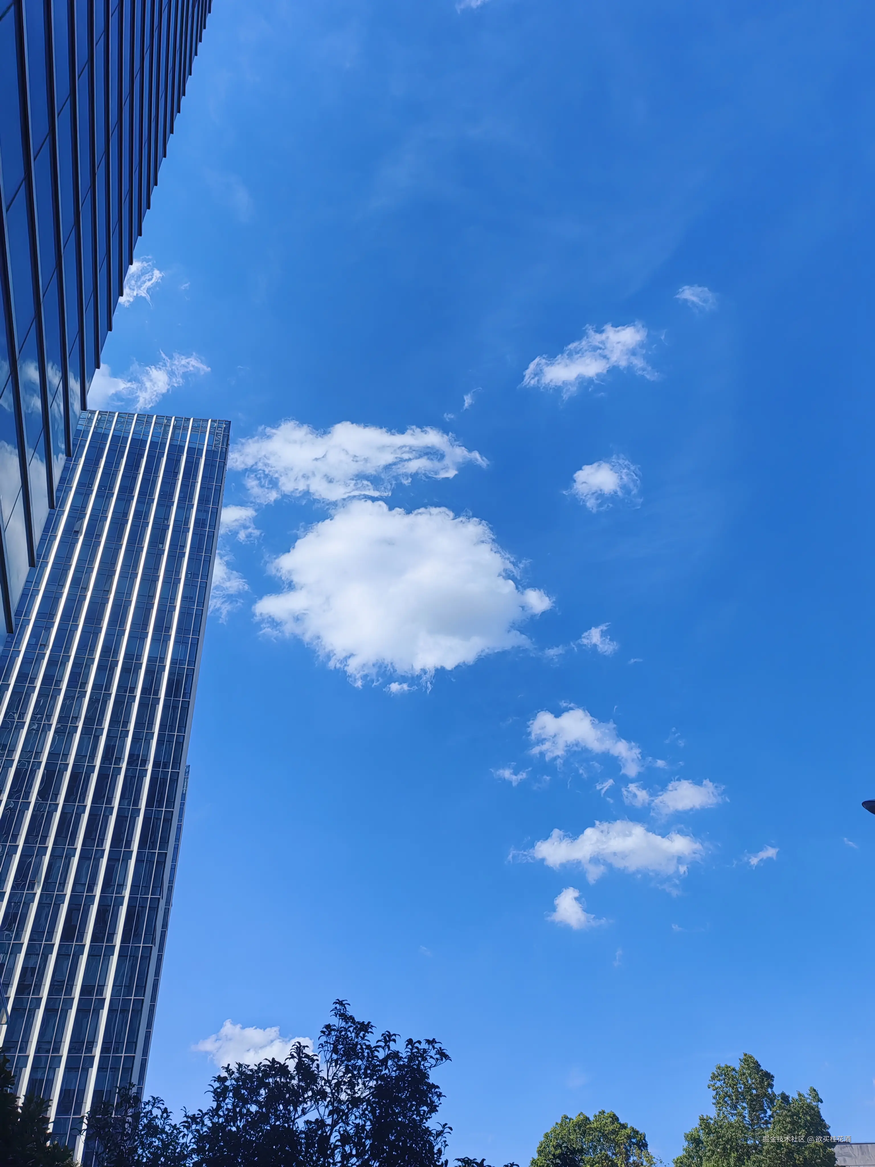 欲买桂花酒于2025-08-15 15:51发布的图片