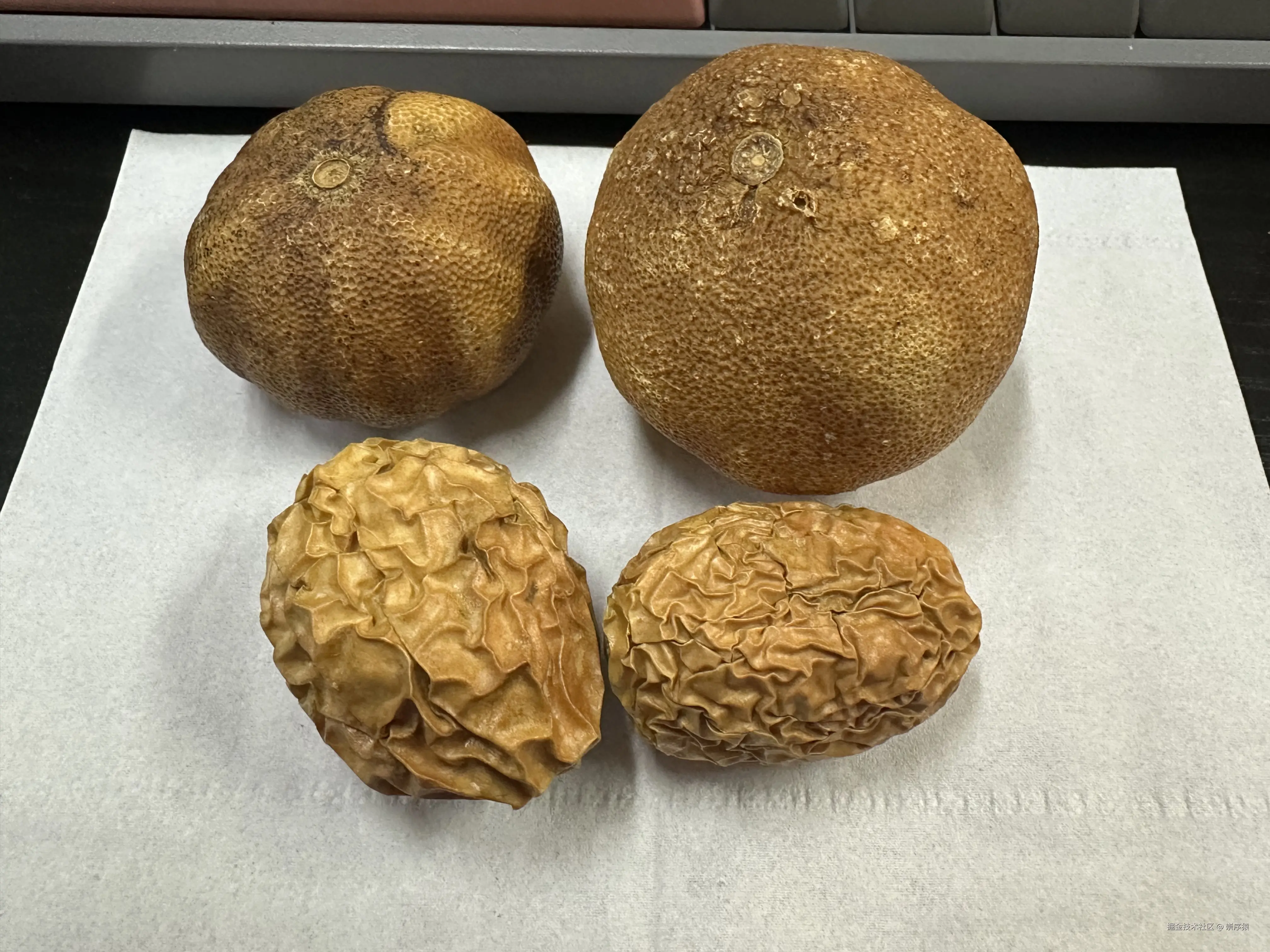 崇序猿于2026-02-05 14:18发布的图片