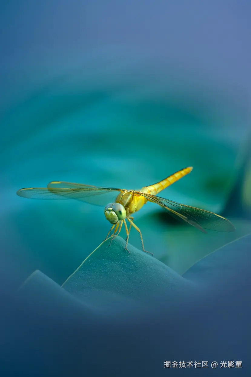 光影童于2025-06-30 06:43发布的图片