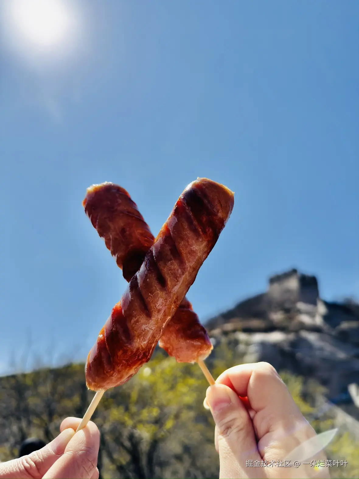 一朵烂菜叶叶于2026-04-13 11:05发布的图片