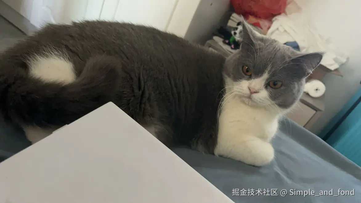 Simple_and_fond于2024-11-28 10:20发布的图片