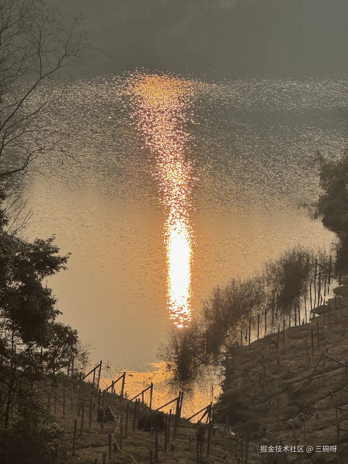 三碗呀于2026-01-22 06:56发布的图片