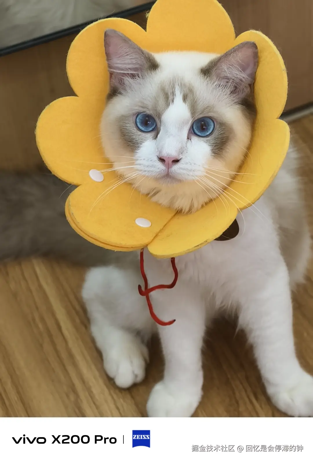 回忆是会停滞的钟于2025-09-08 09:16发布的图片