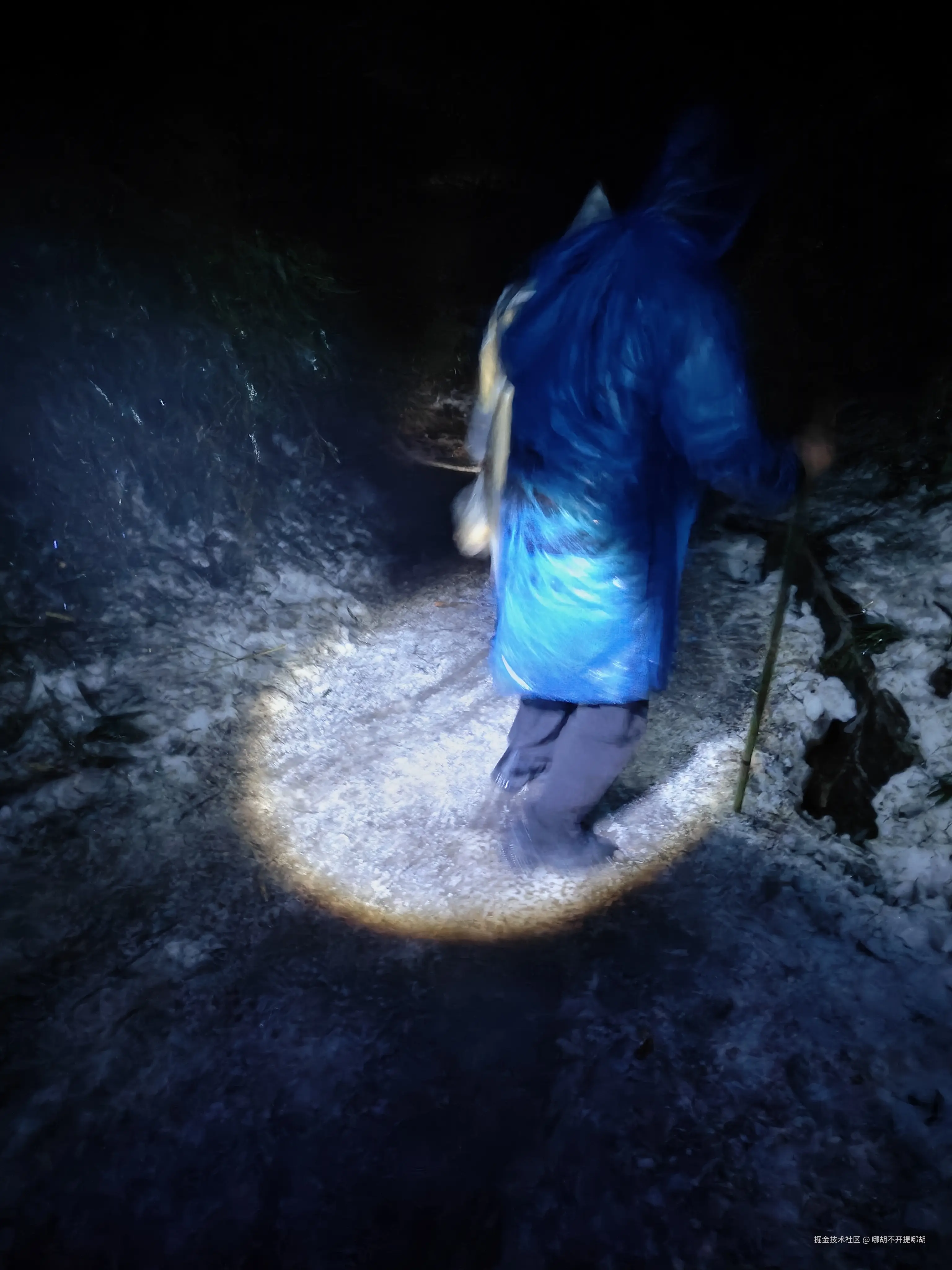 哪胡不开提哪胡于2025-04-07 08:49发布的图片