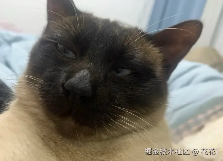 花花i于2025-08-11 17:37发布的图片