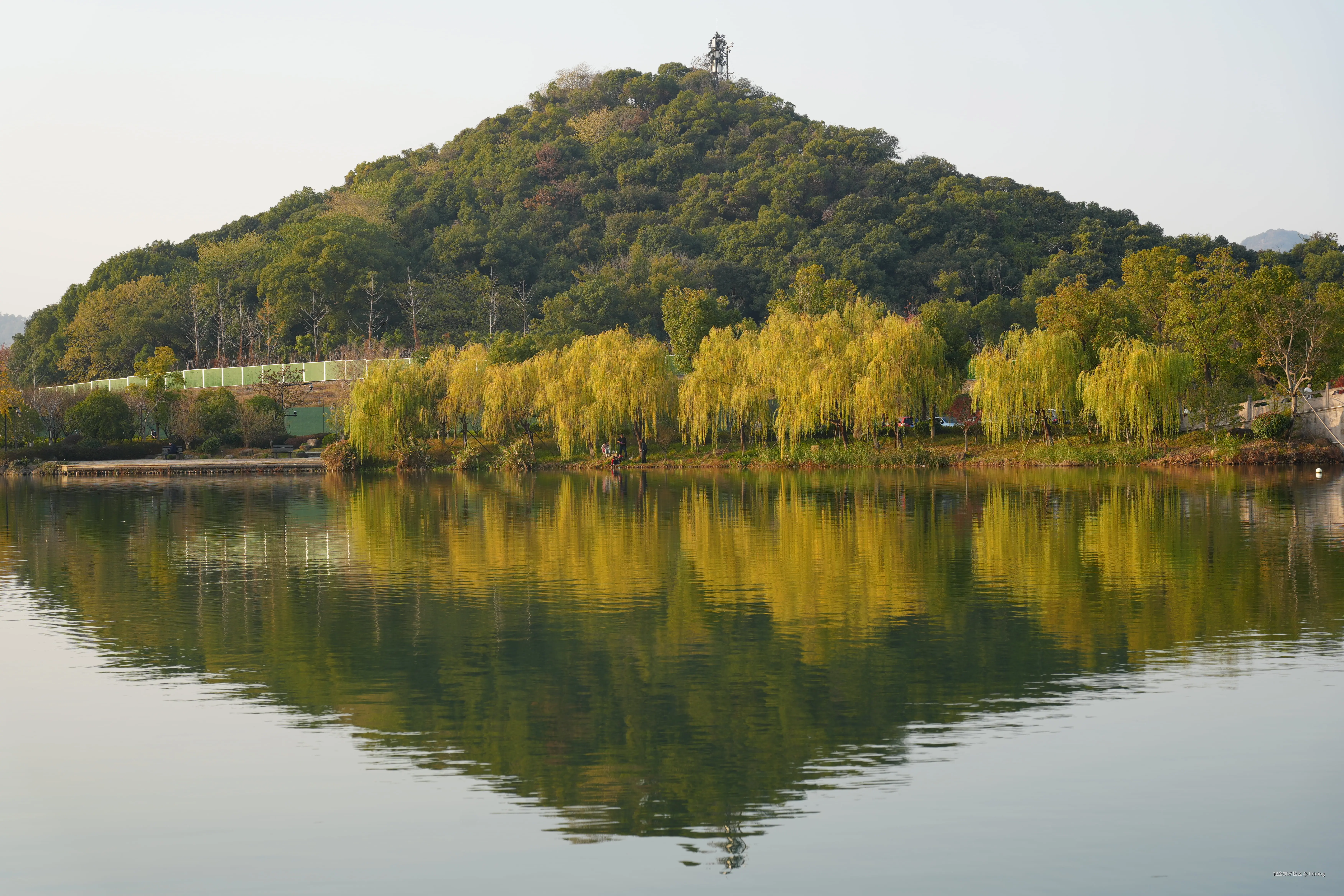 lirioing于2025-12-08 14:12发布的图片