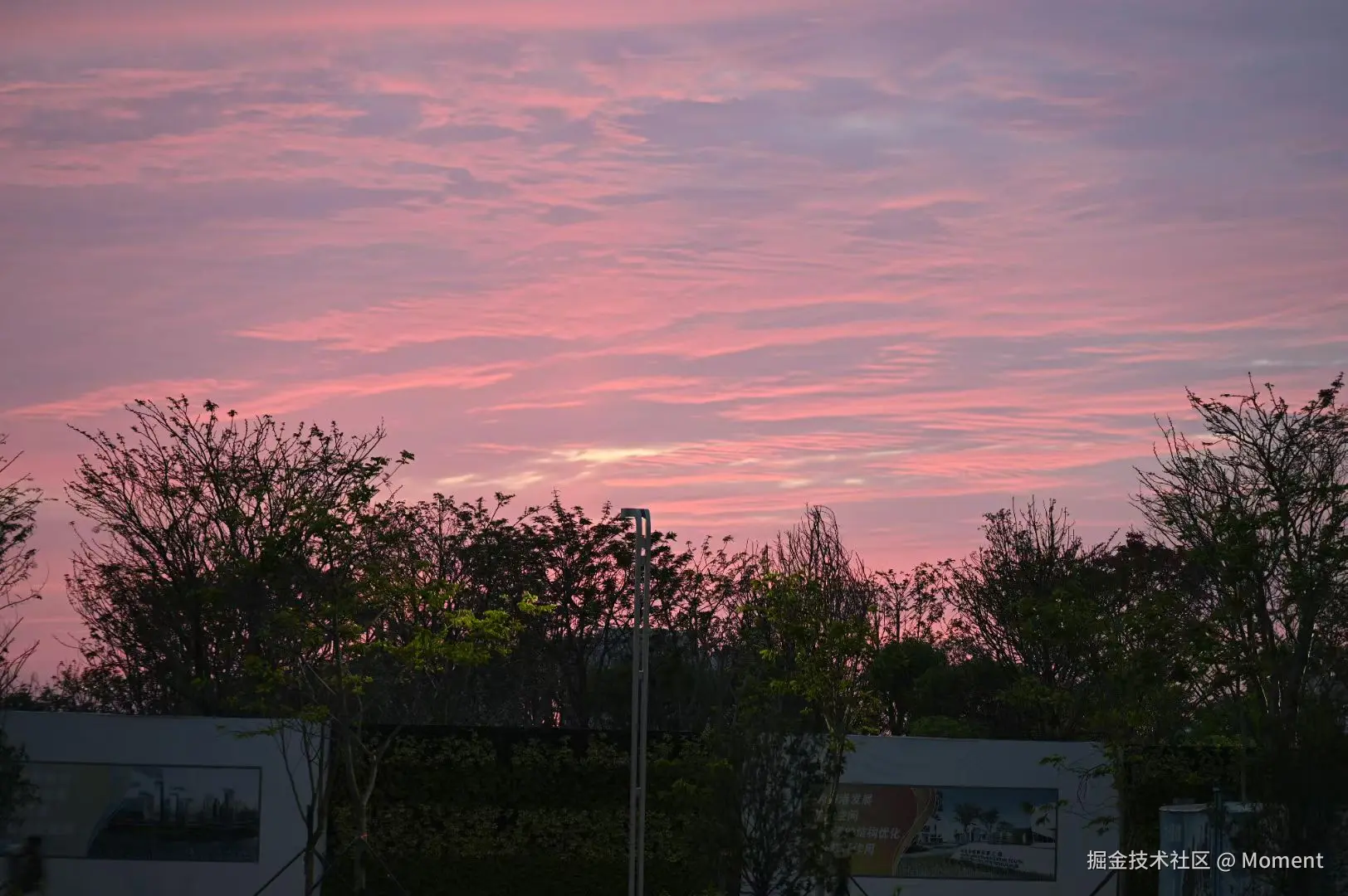 Moment于2025-05-12 11:33发布的图片