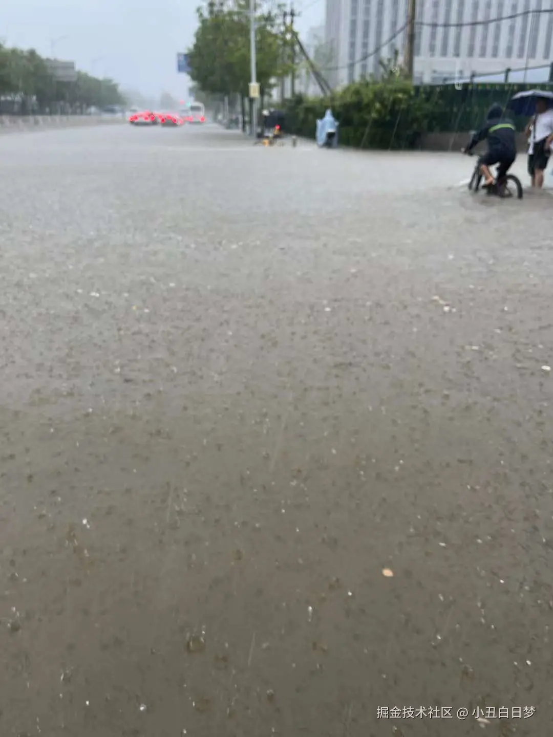 小丑白日梦于2024-07-30 02:02发布的图片