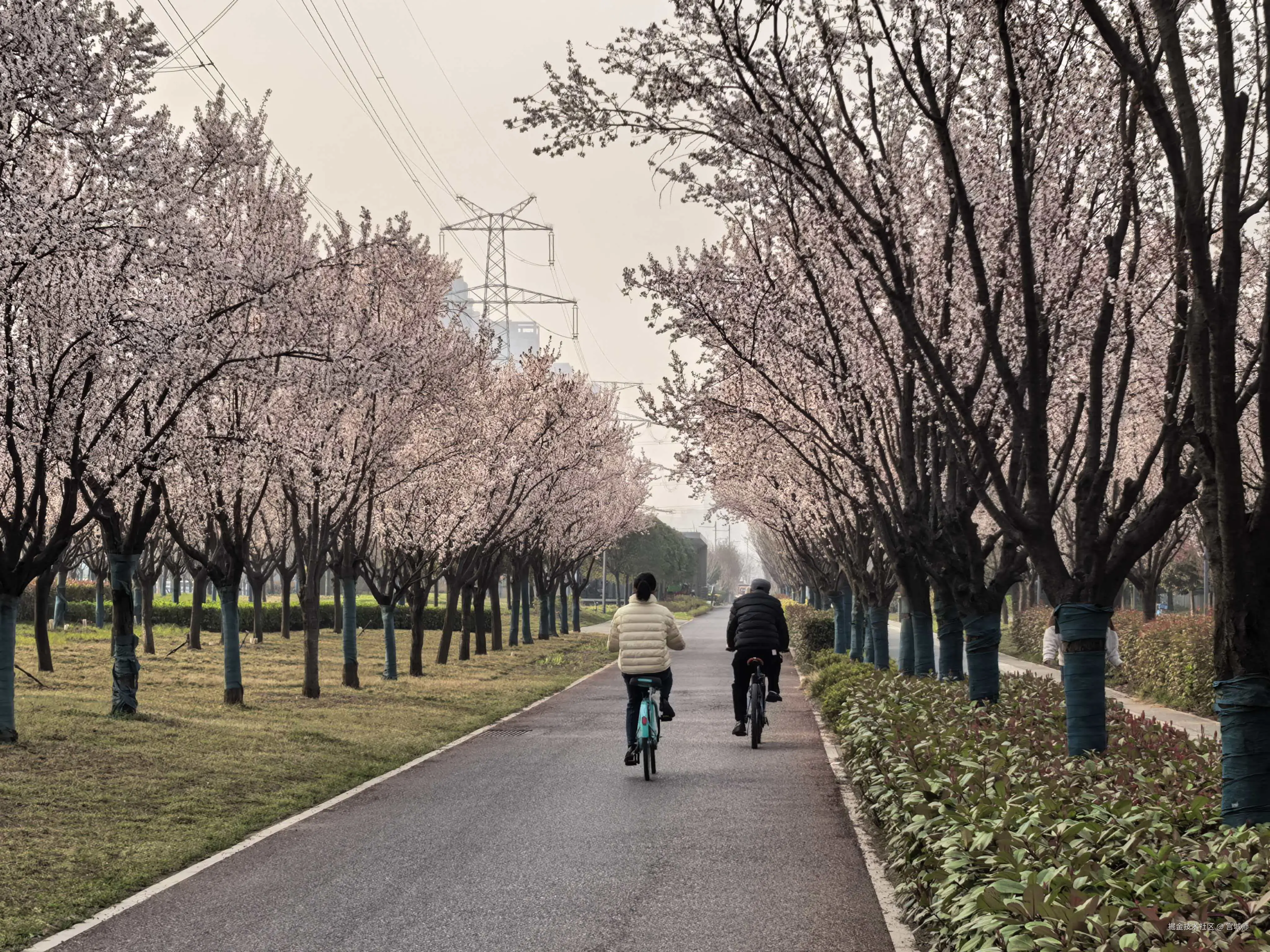 宫城师于2026-03-12 09:49发布的图片