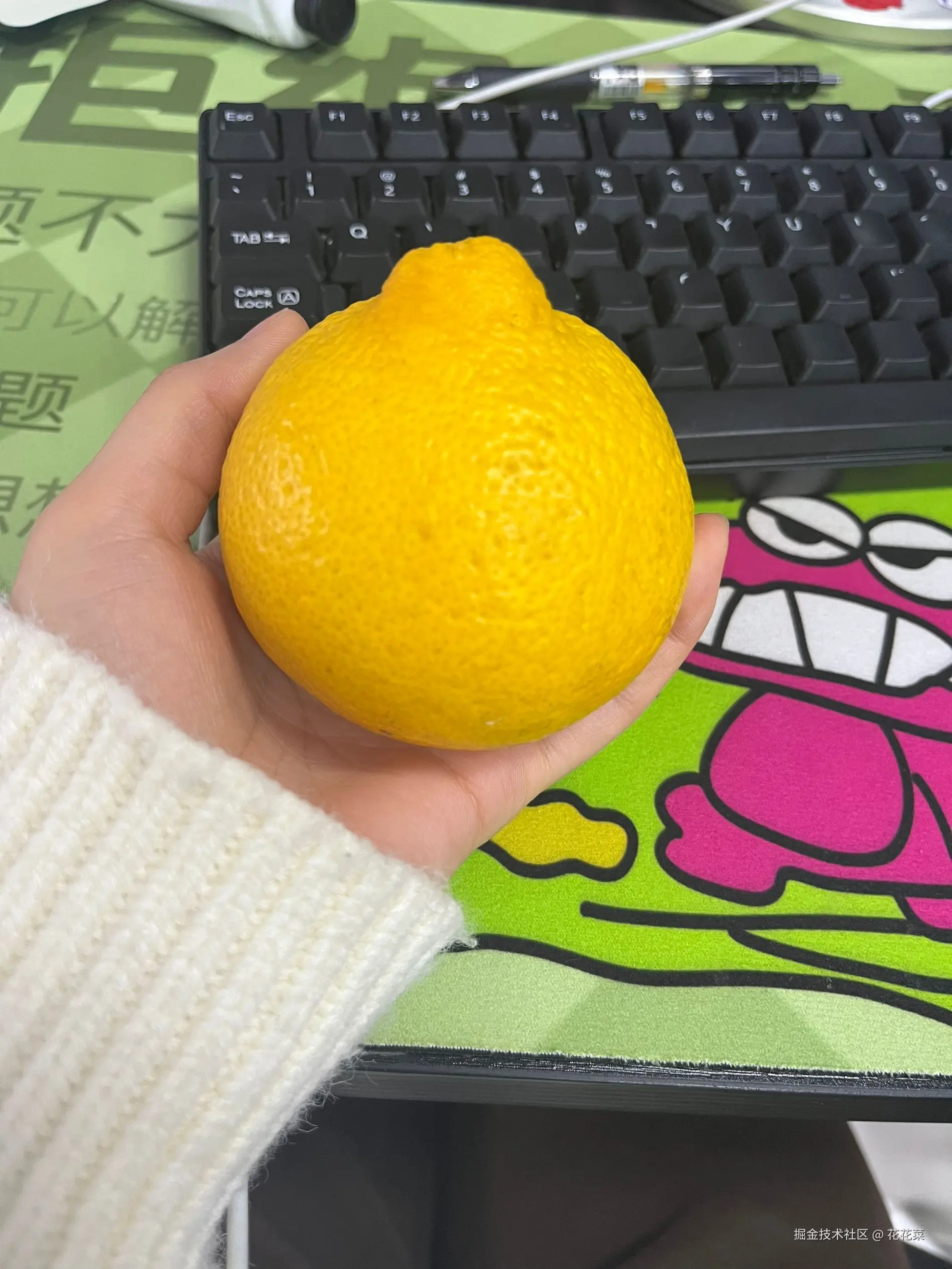 花花菜于2024-12-18 02:55发布的图片