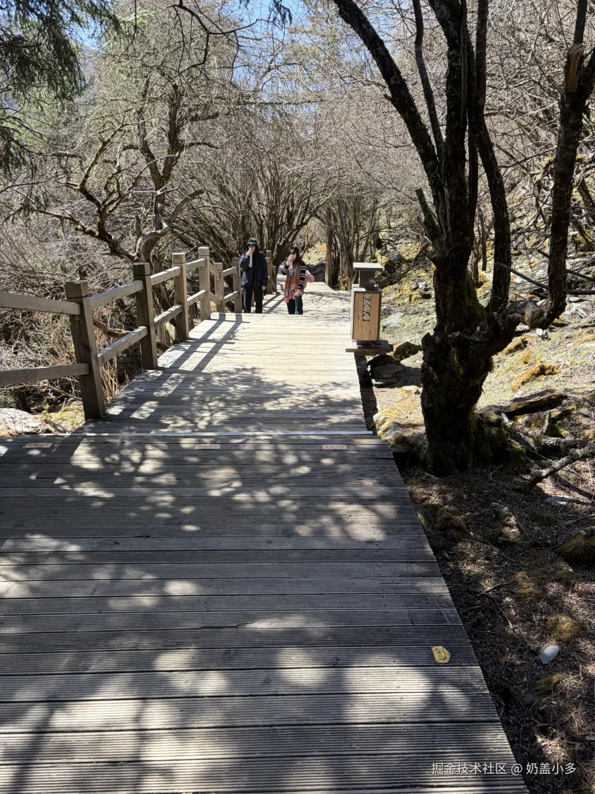 奶盖小多于2026-04-22 15:52发布的图片